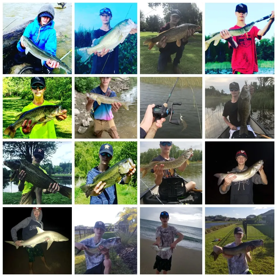 recently logged catches