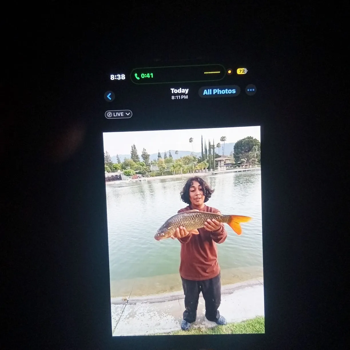 The most recent Common carp catches on Fishbrain