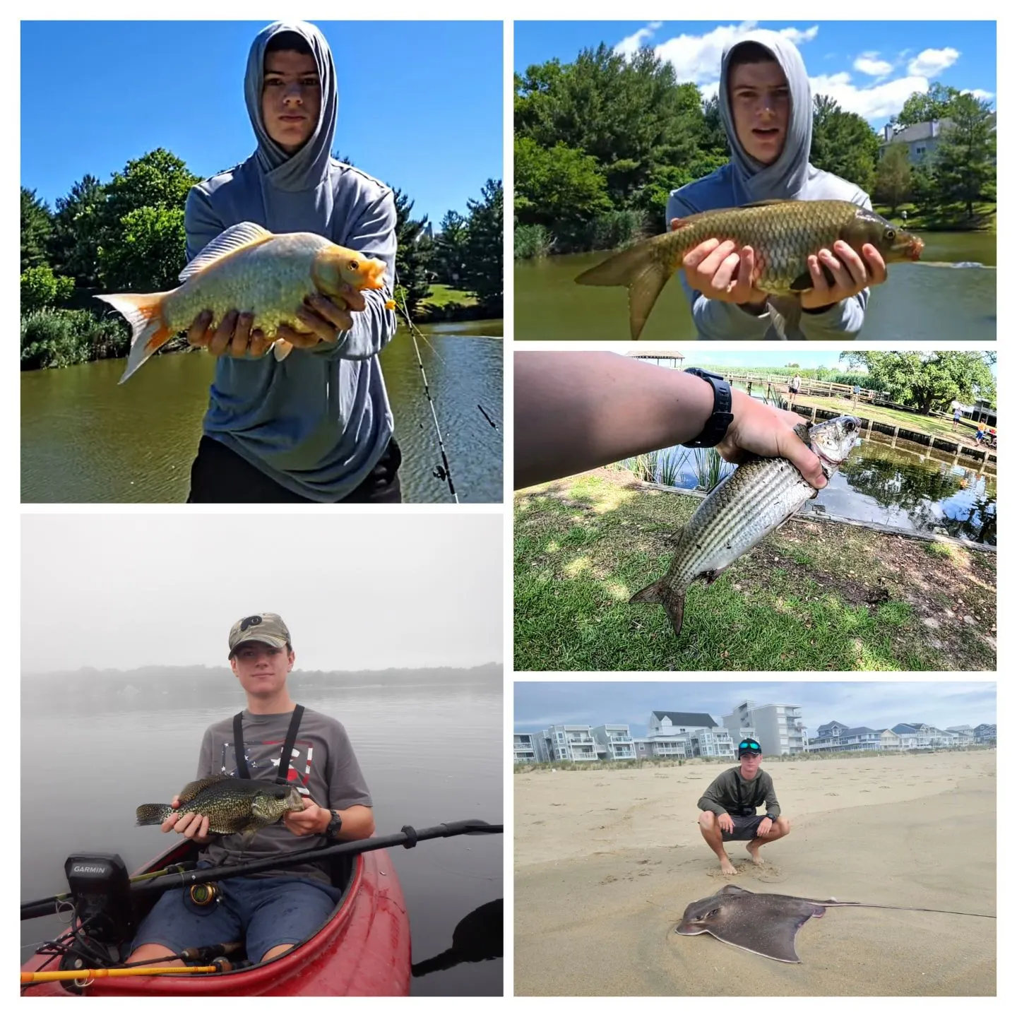 recently logged catches