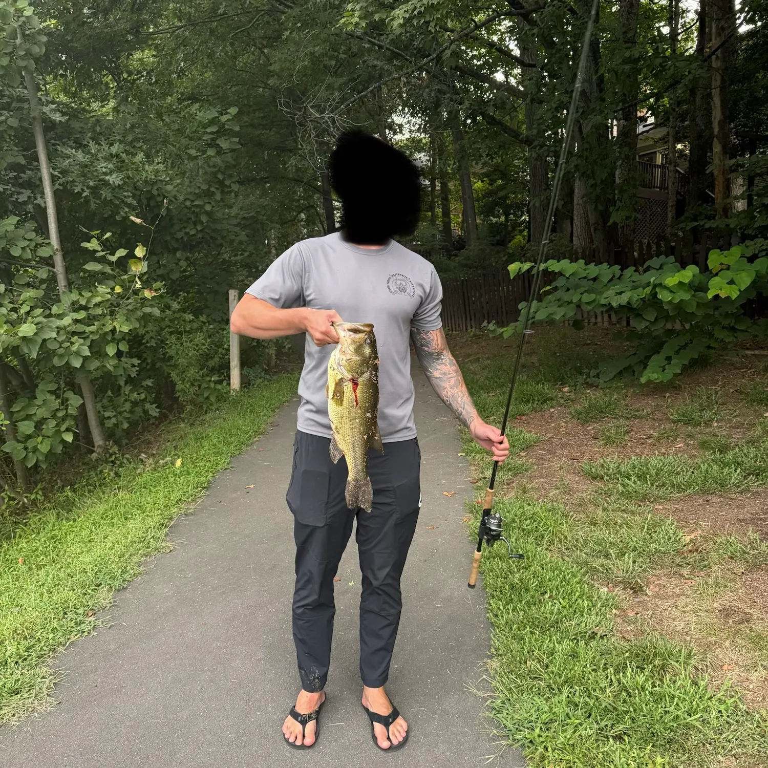 Largemouth bass caught on Fishbrain