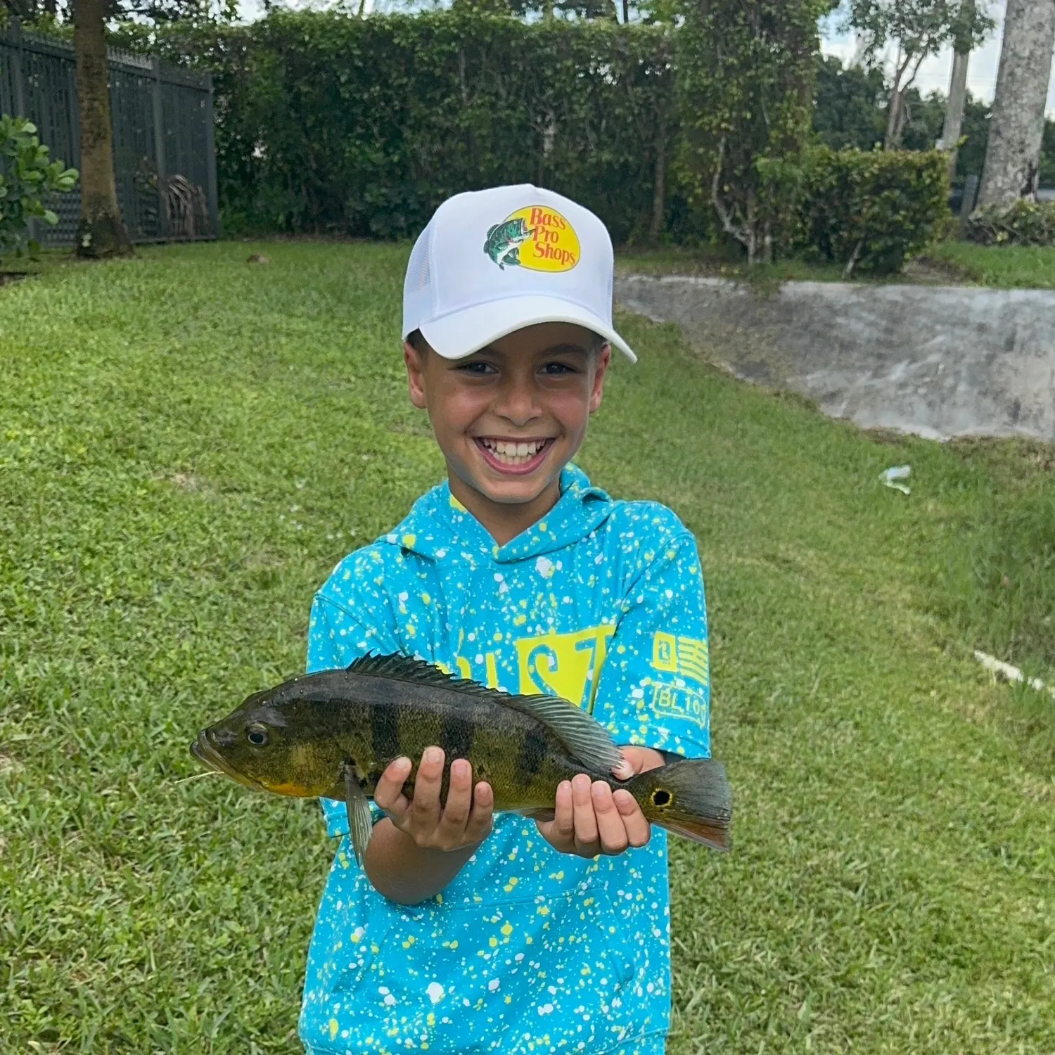 Butterfly peacock bass caught on Fishbrain