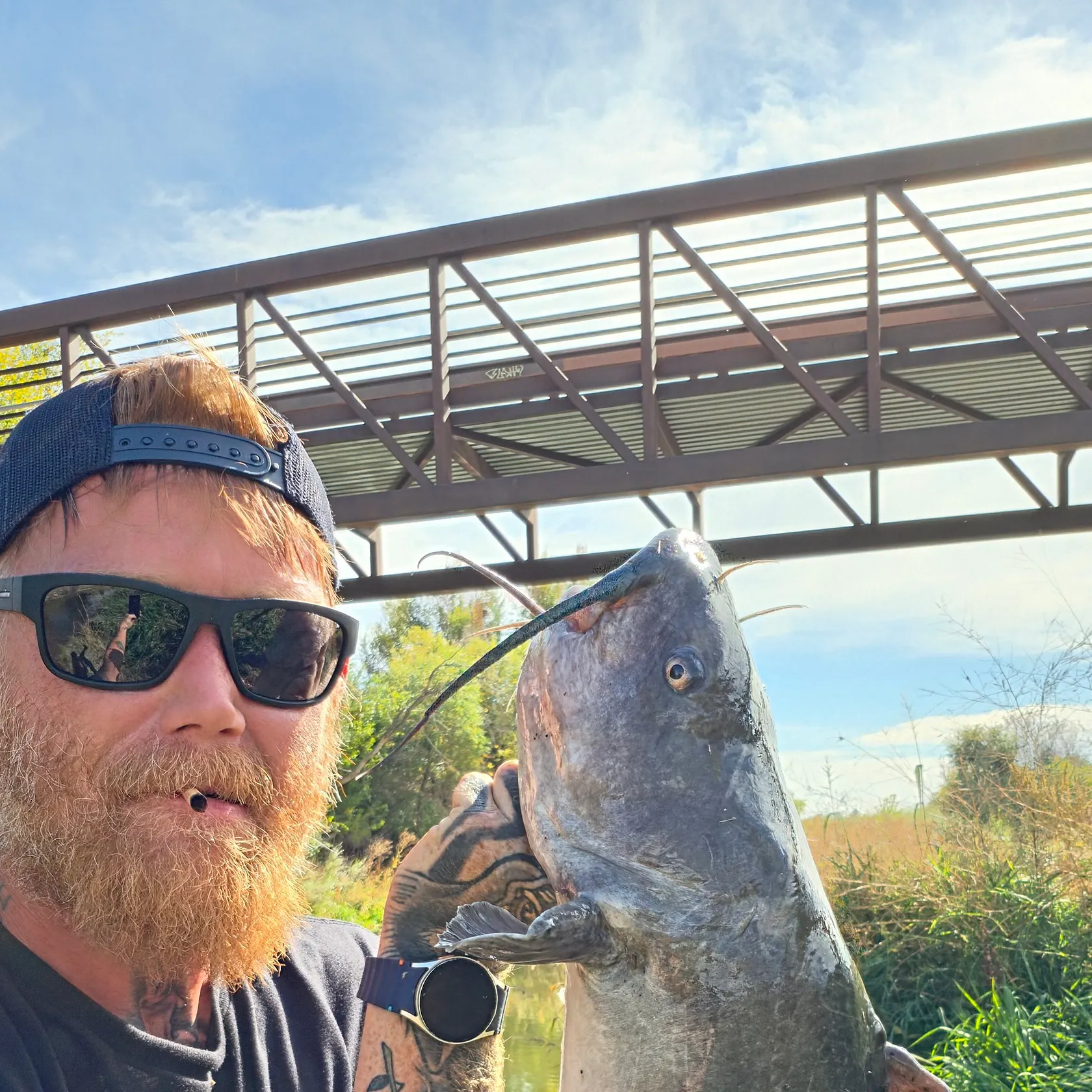 Channel catfish caught on Fishbrain