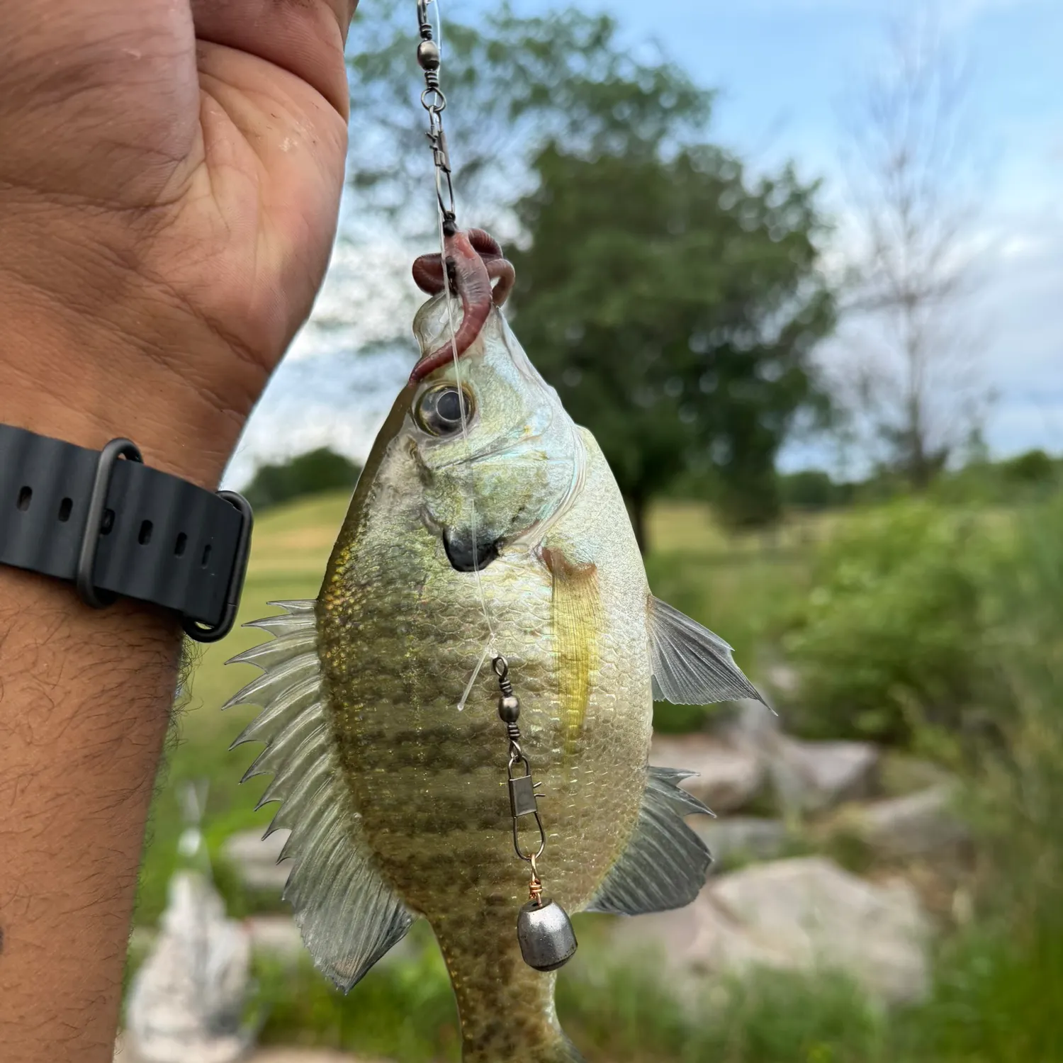 catch