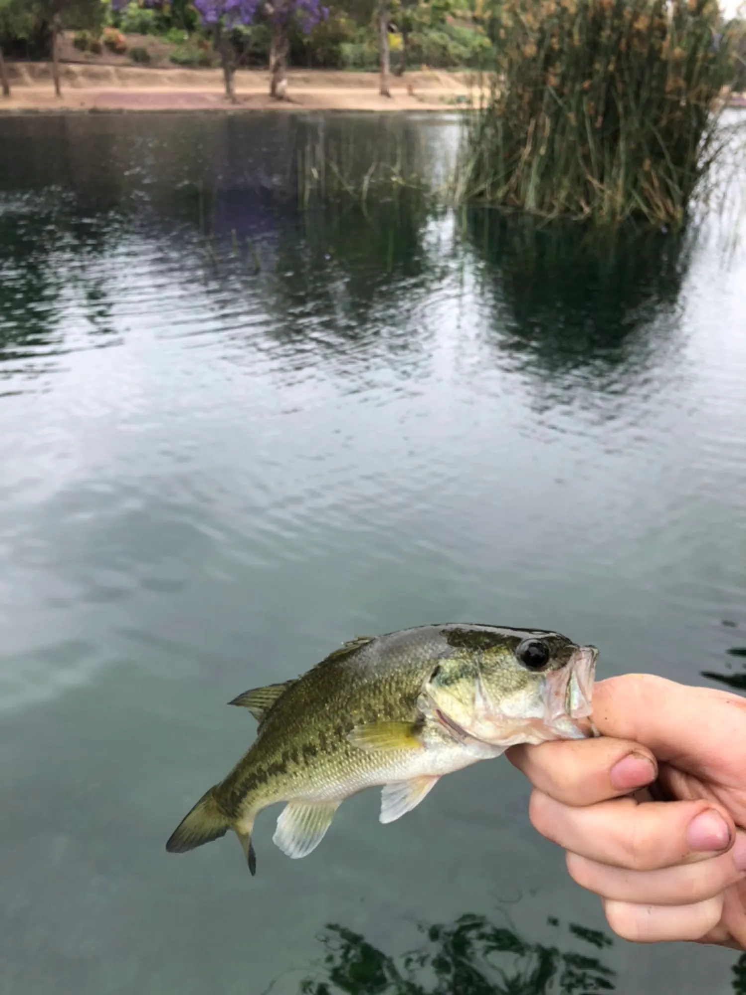 Post image from rclark8351