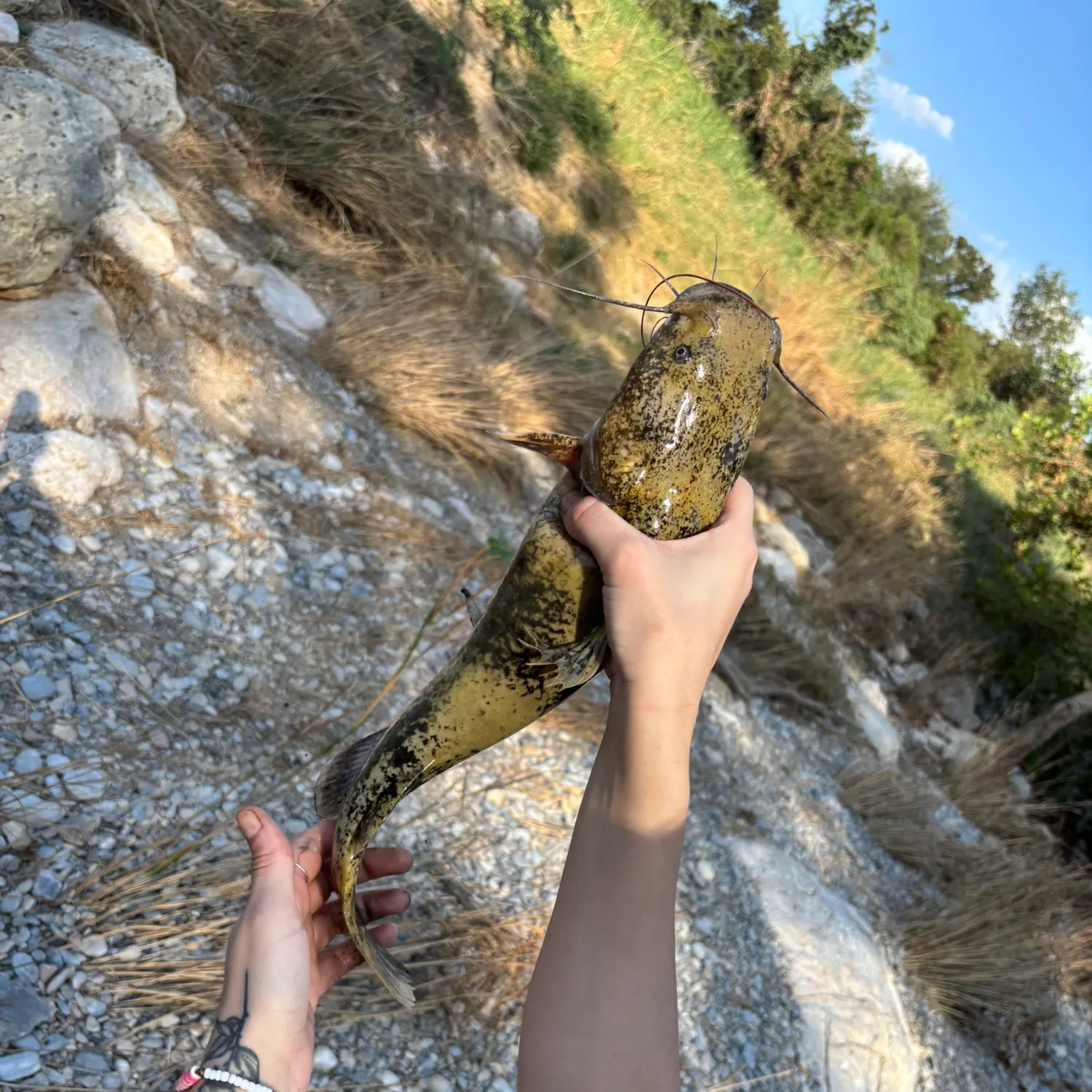 catch