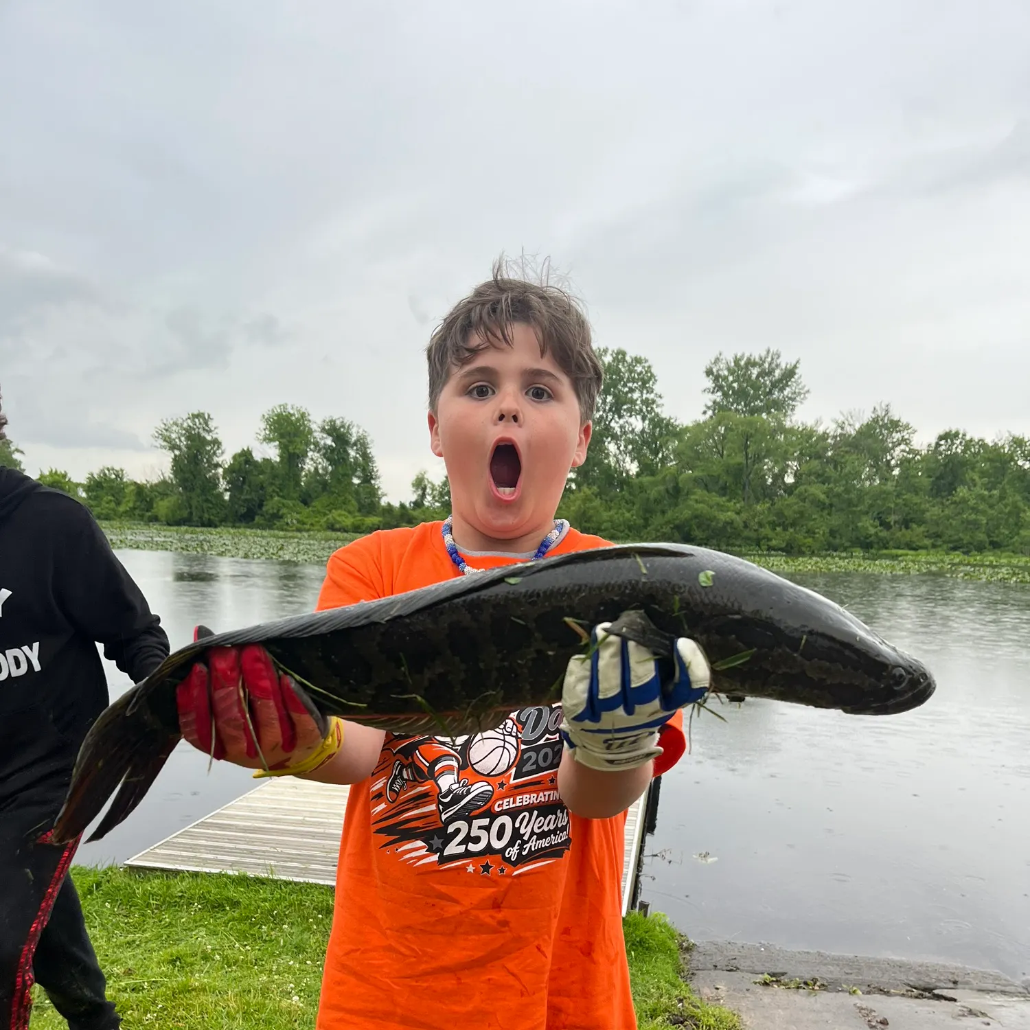 The most recent Northern snakehead catches on Fishbrain