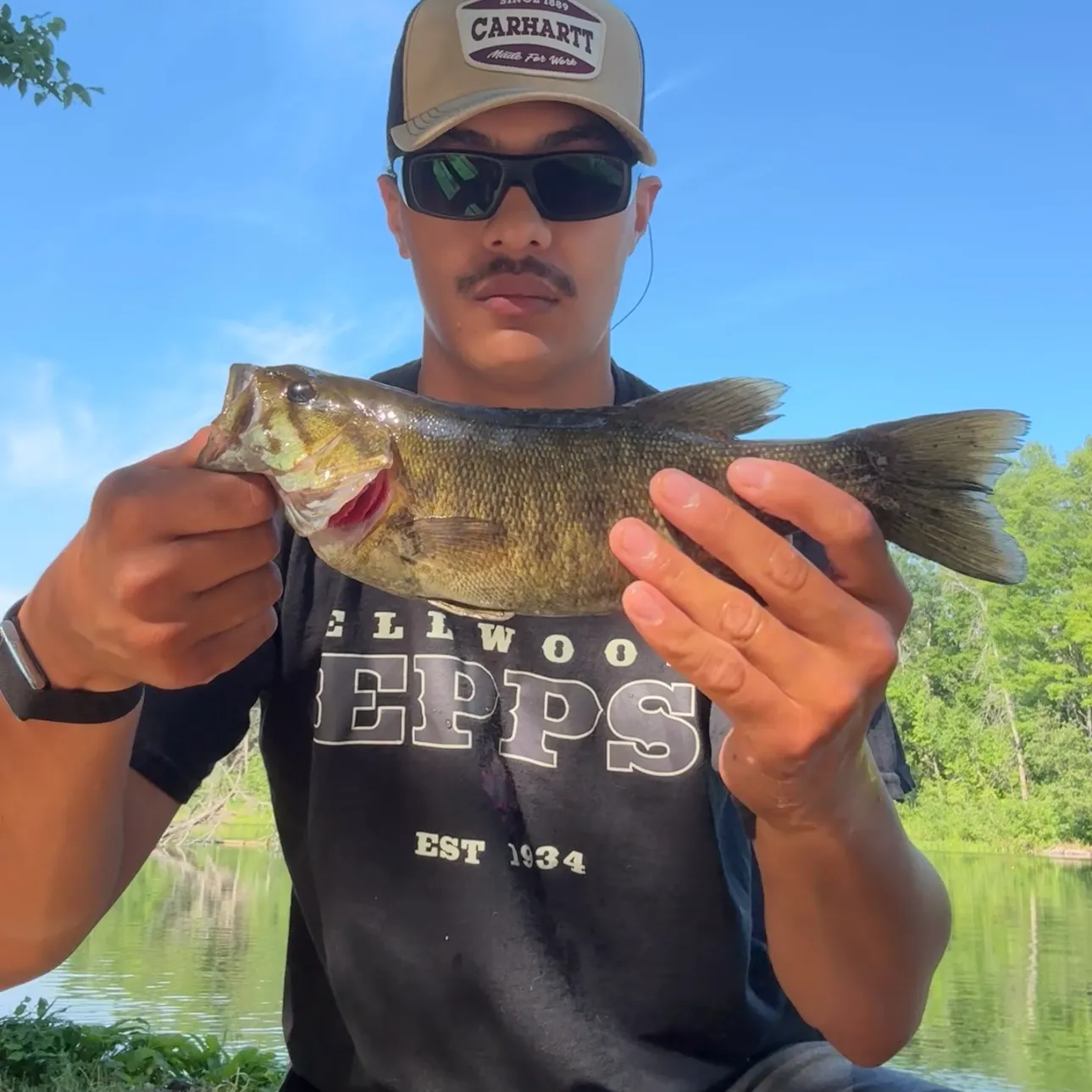 recently logged catches