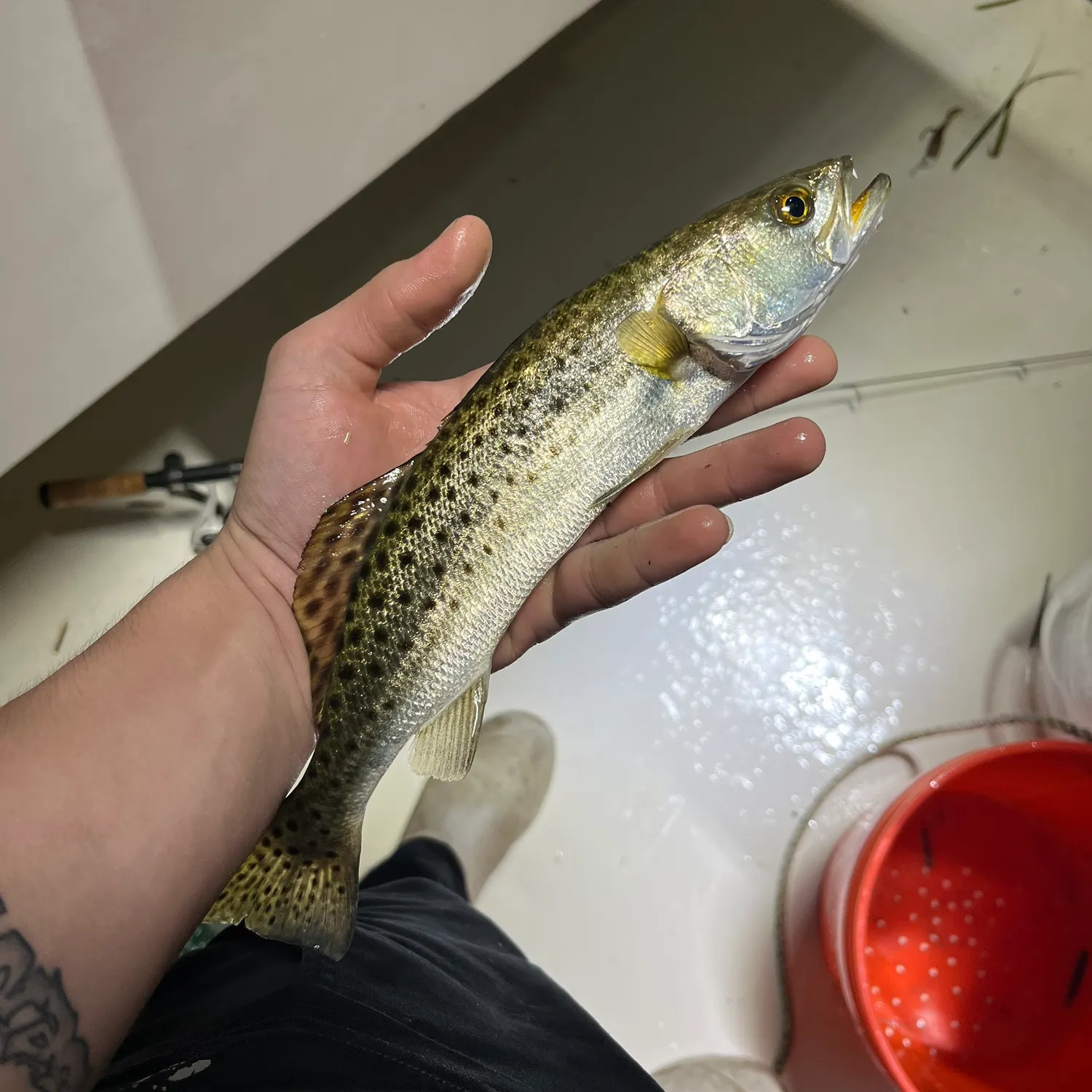 catch