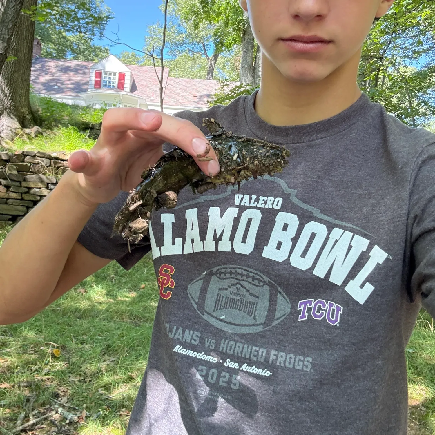 Black bullhead caught on Fishbrain