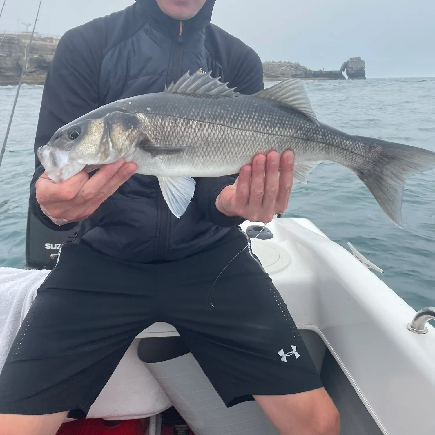 The most recent European seabass catches on Fishbrain