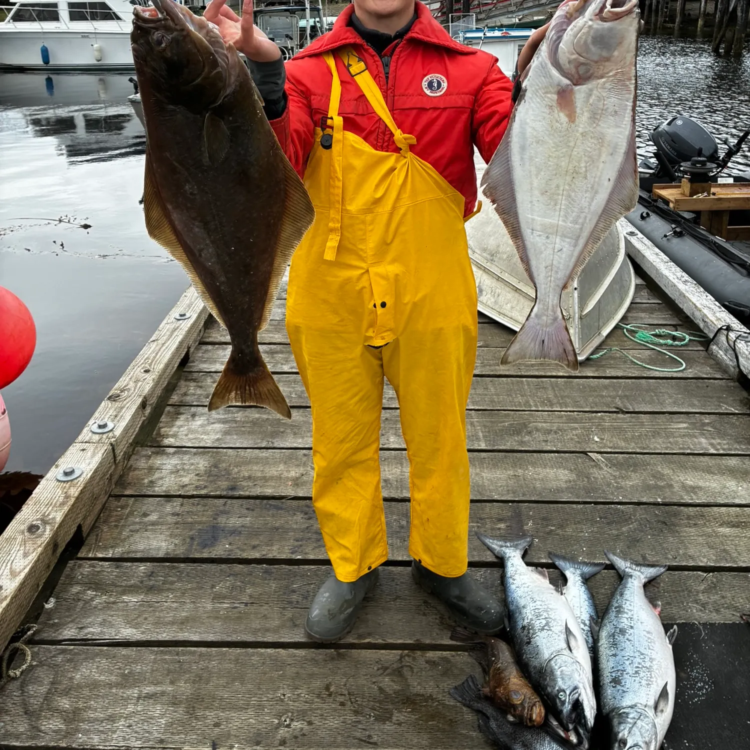 Pacific halibut caught on Fishbrain