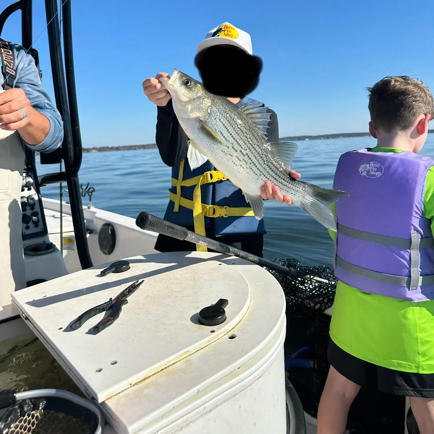 The most recent Hybrid striped bass catches on Fishbrain