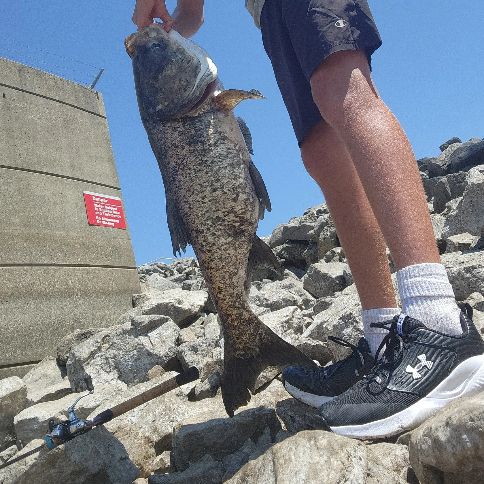 The most recent Bighead carp catches on Fishbrain
