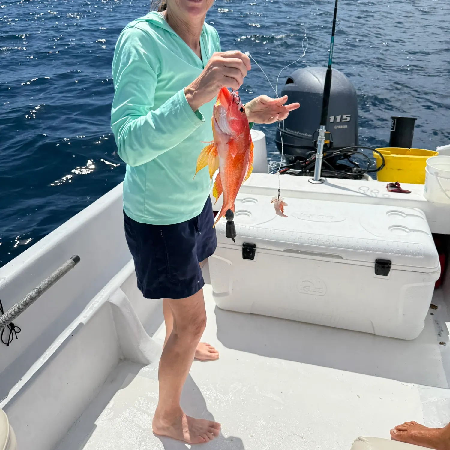 The most recent Silk snapper catches on Fishbrain