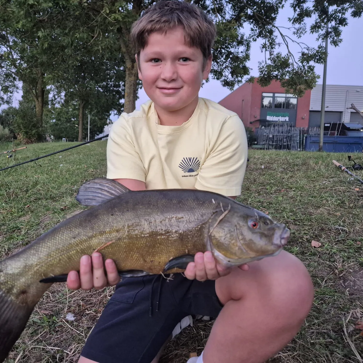 Tench caught on Fishbrain