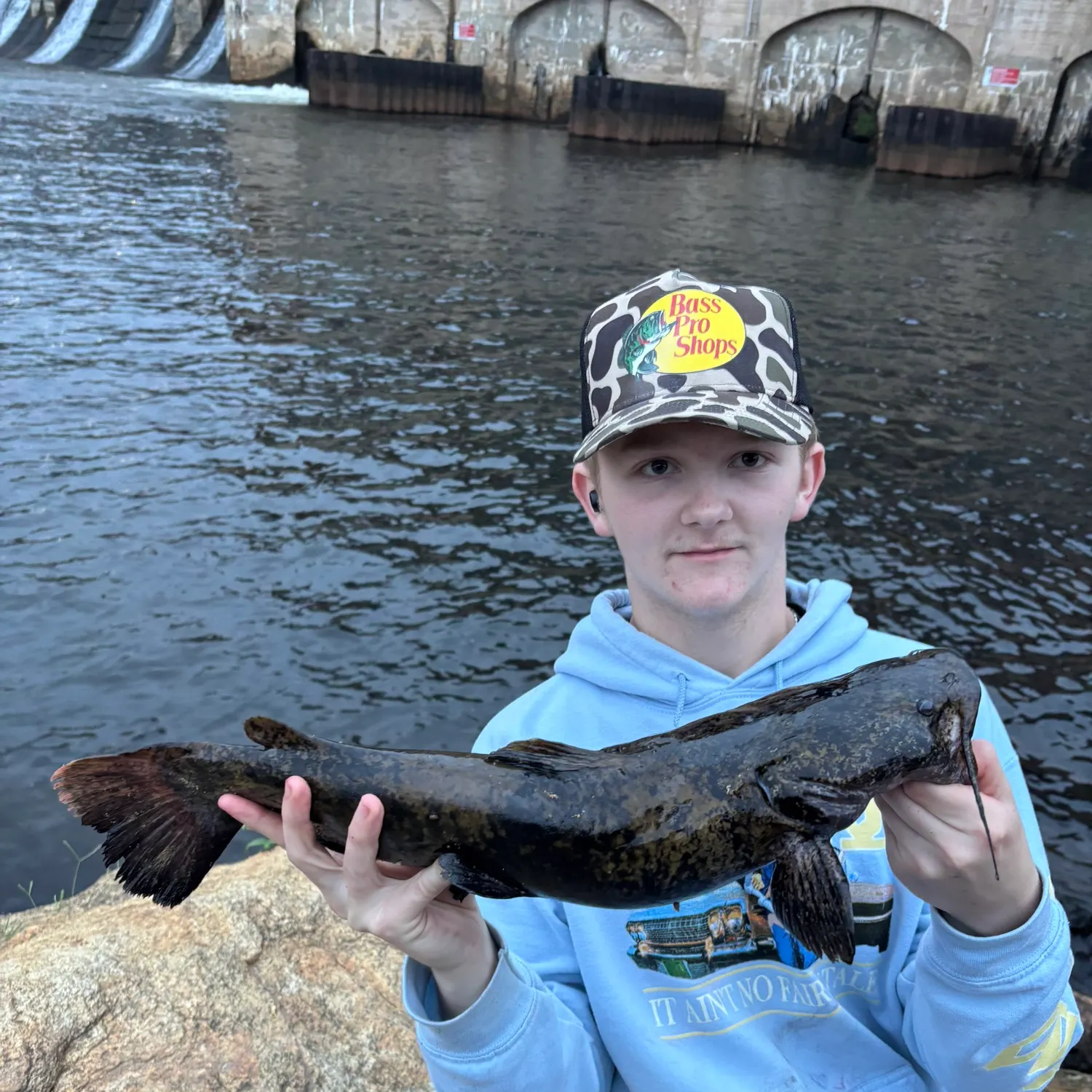 Flathead catfish caught on Fishbrain
