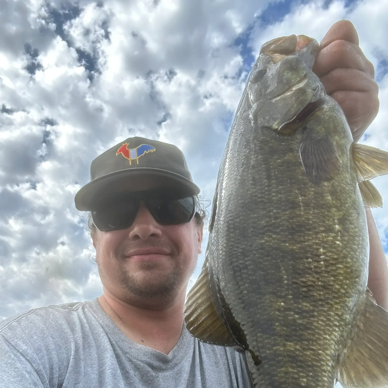 Smallmouth bass caught on Fishbrain