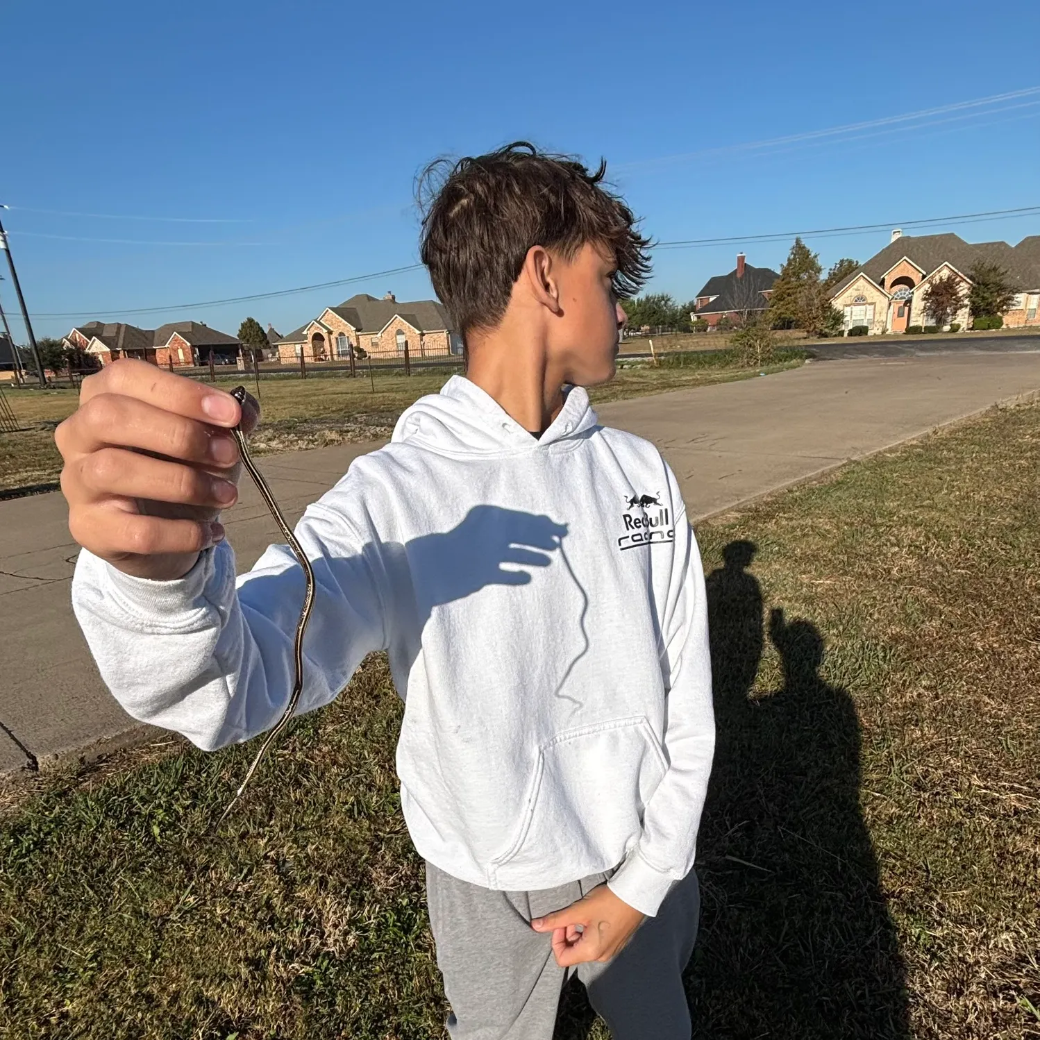 The most recent Zebra fish catches on Fishbrain