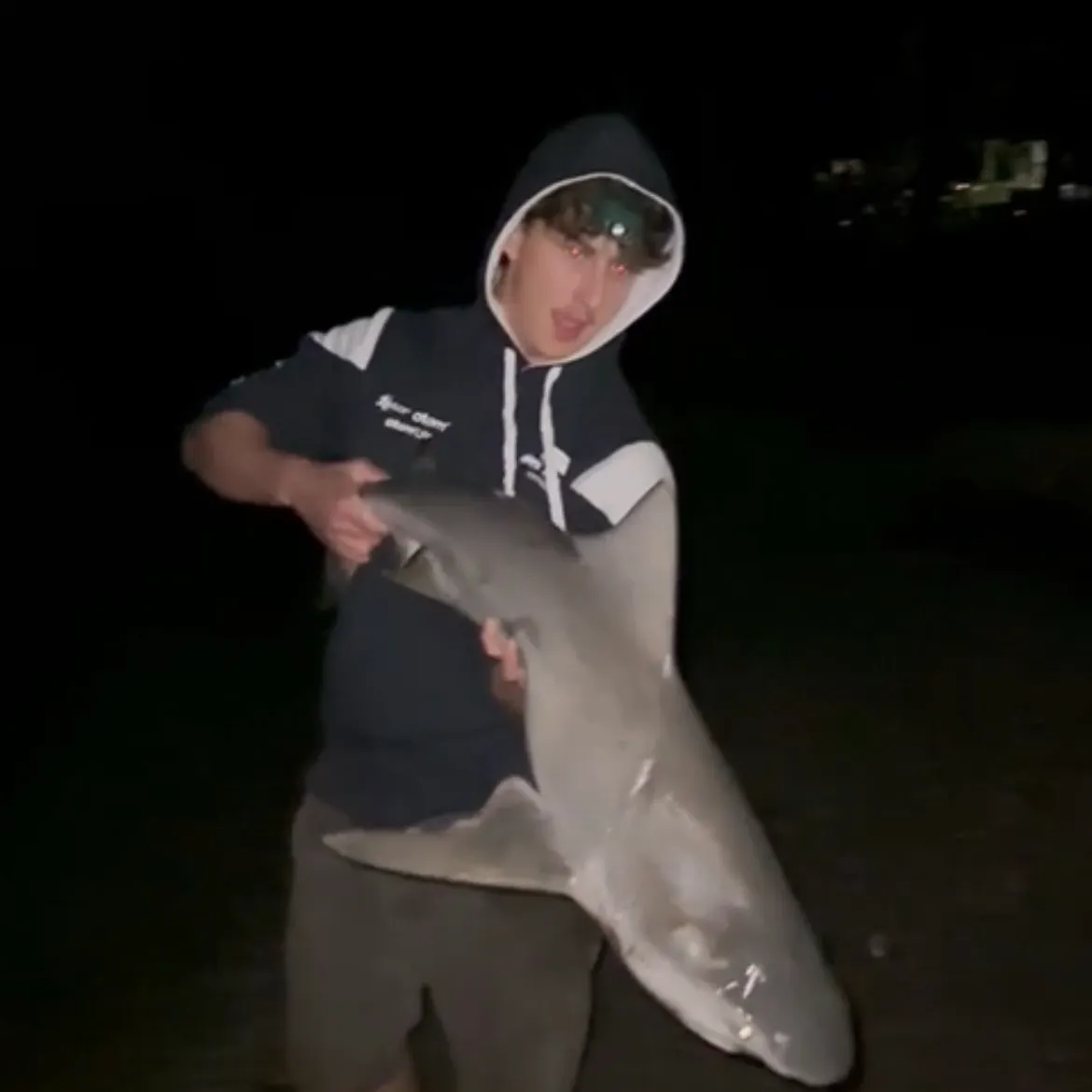 Bull shark caught on Fishbrain
