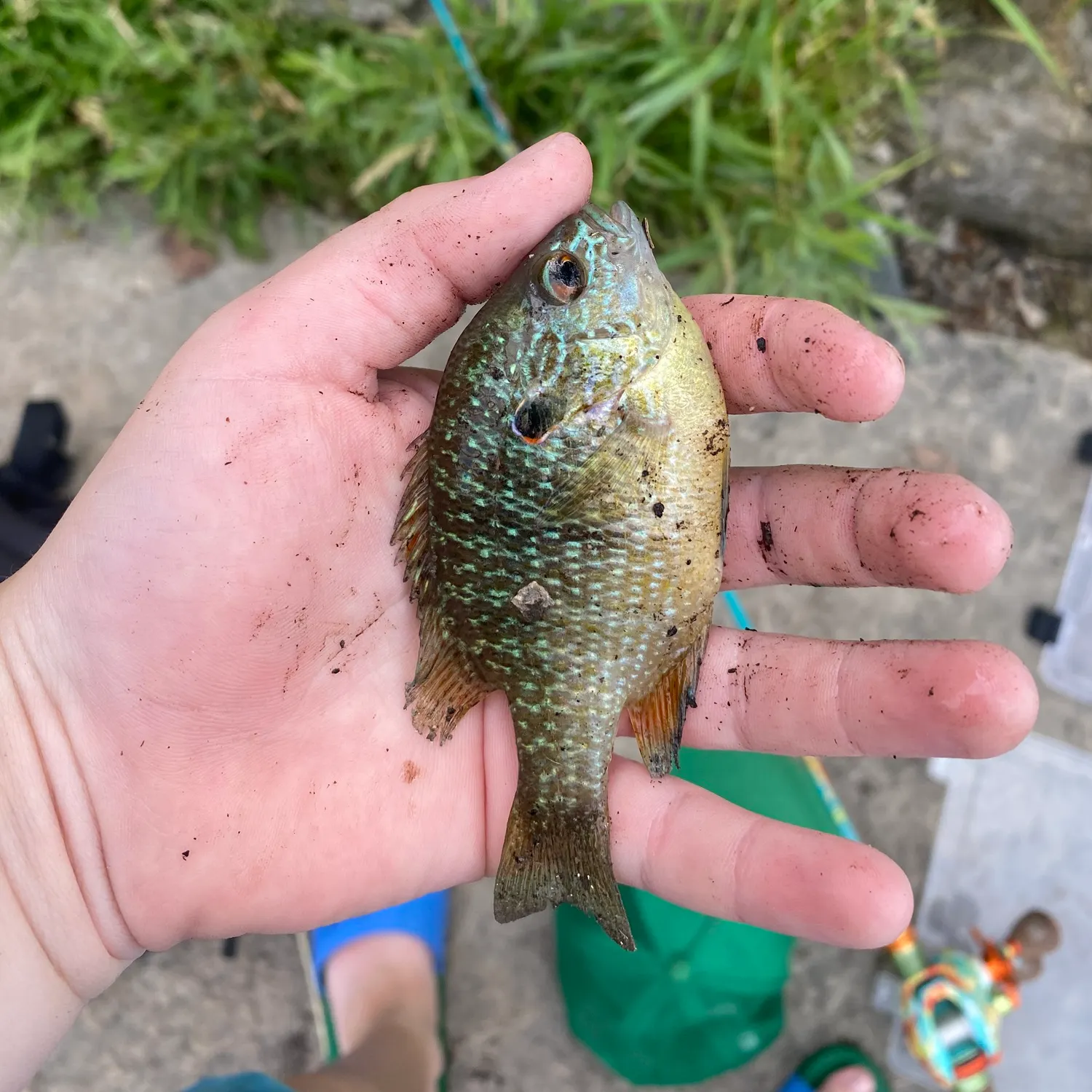 catch