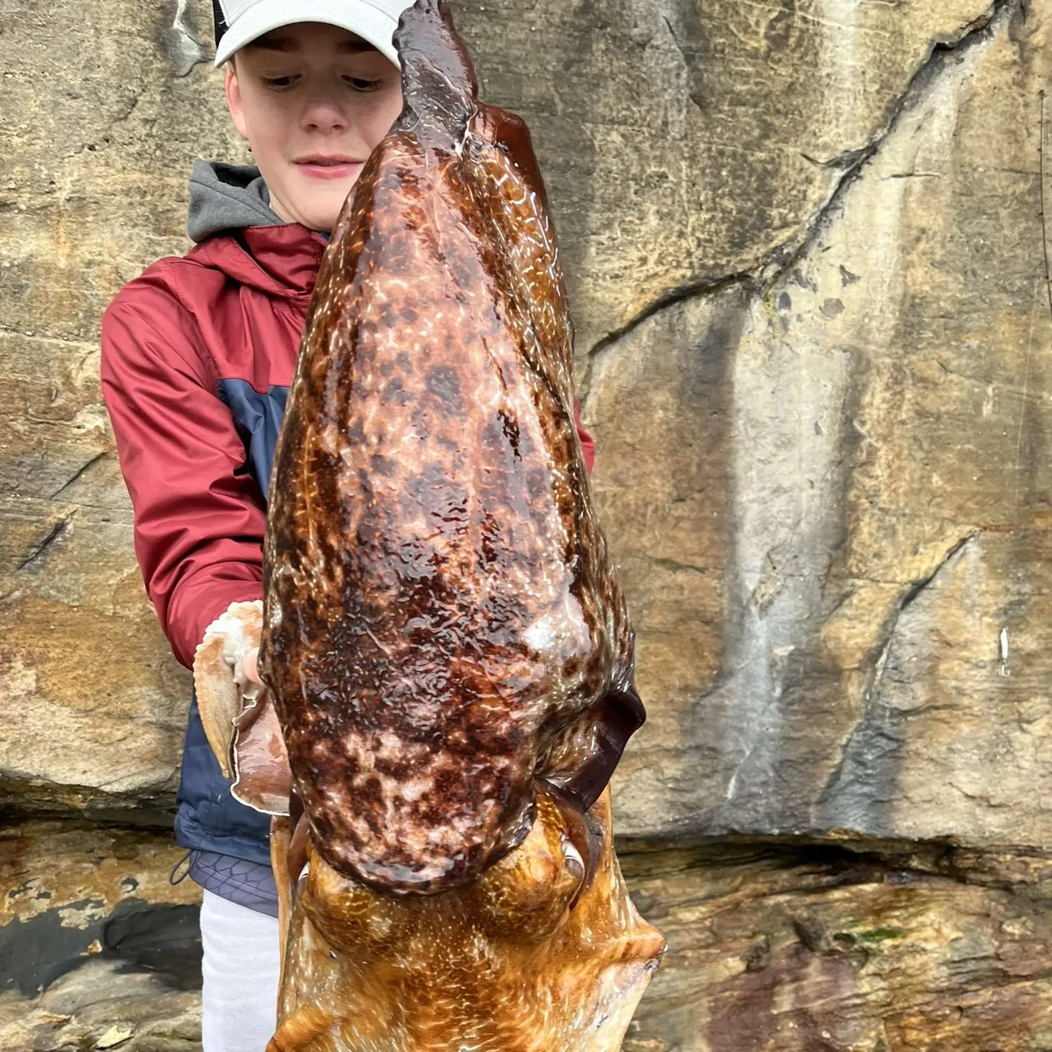 The most recent Common cuttlefish catches on Fishbrain