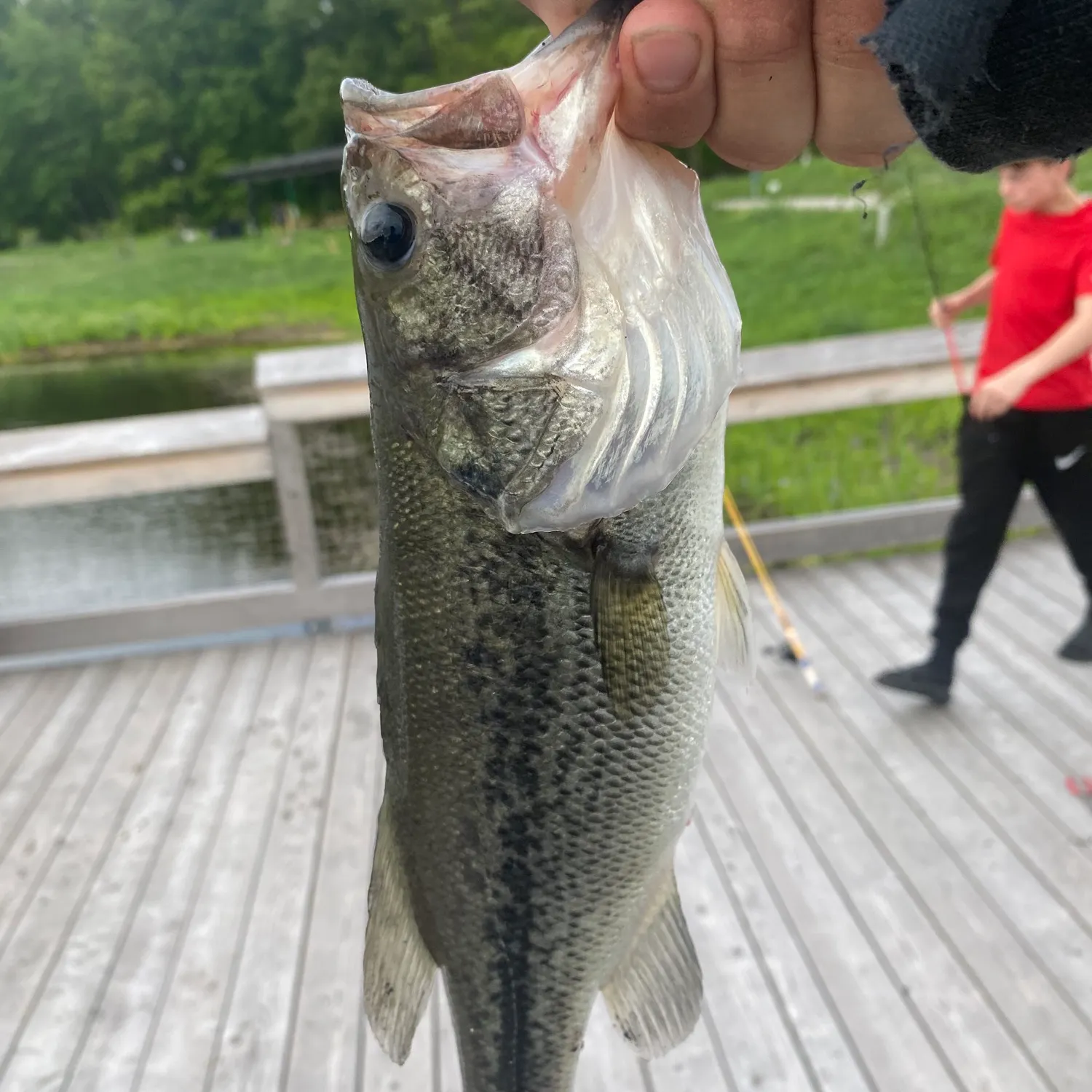 catch