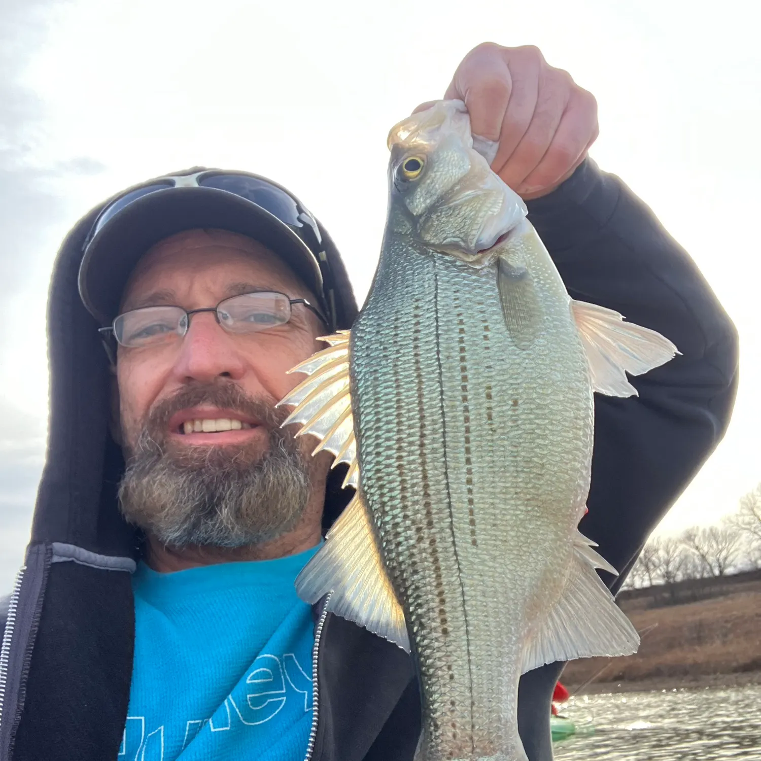 The most recent White bass catches on Fishbrain