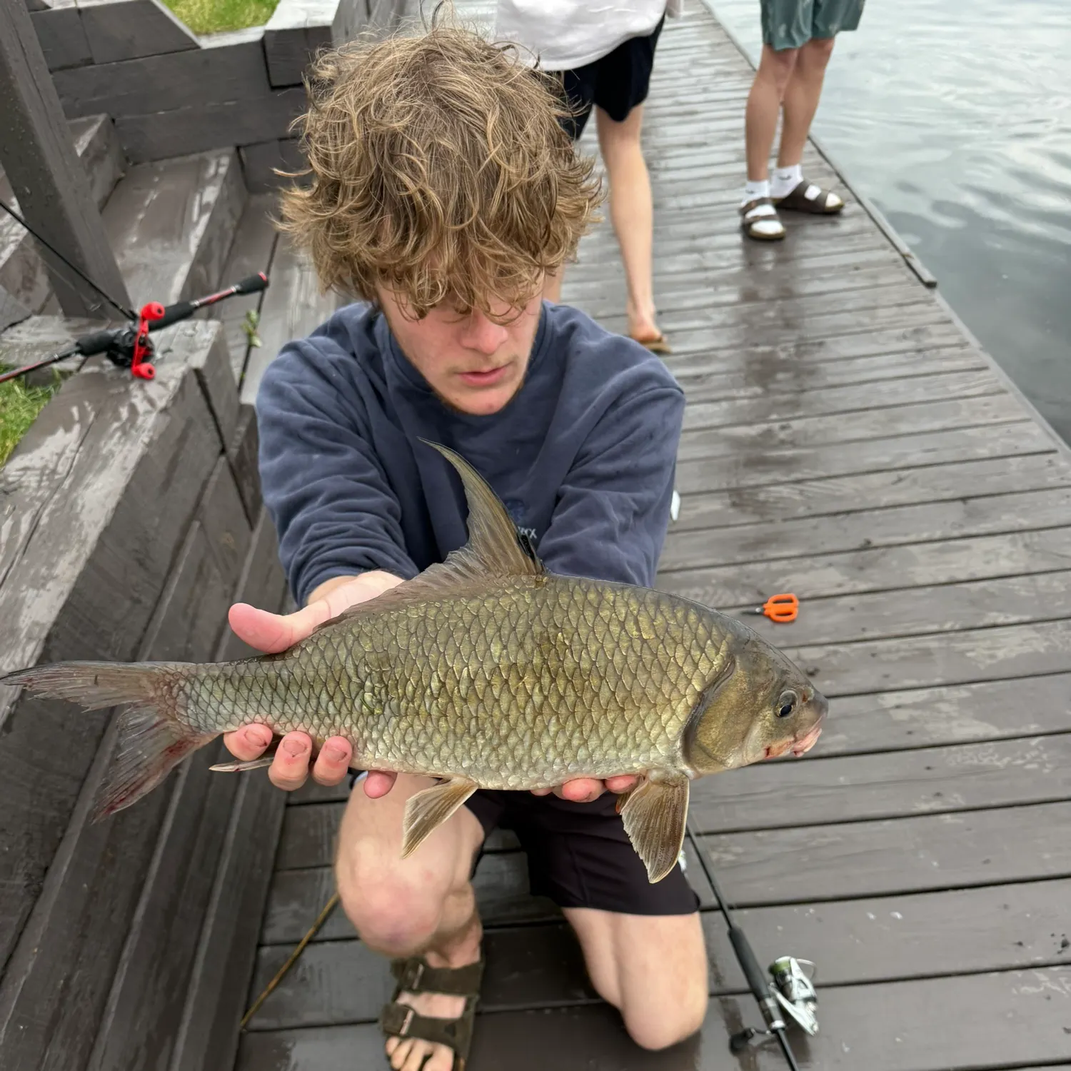 The most recent Quillback catches on Fishbrain