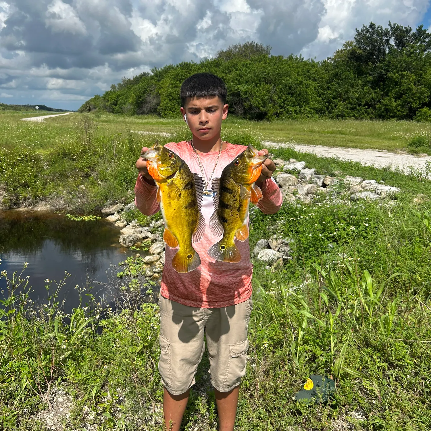 The most recent Butterfly peacock bass catches on Fishbrain