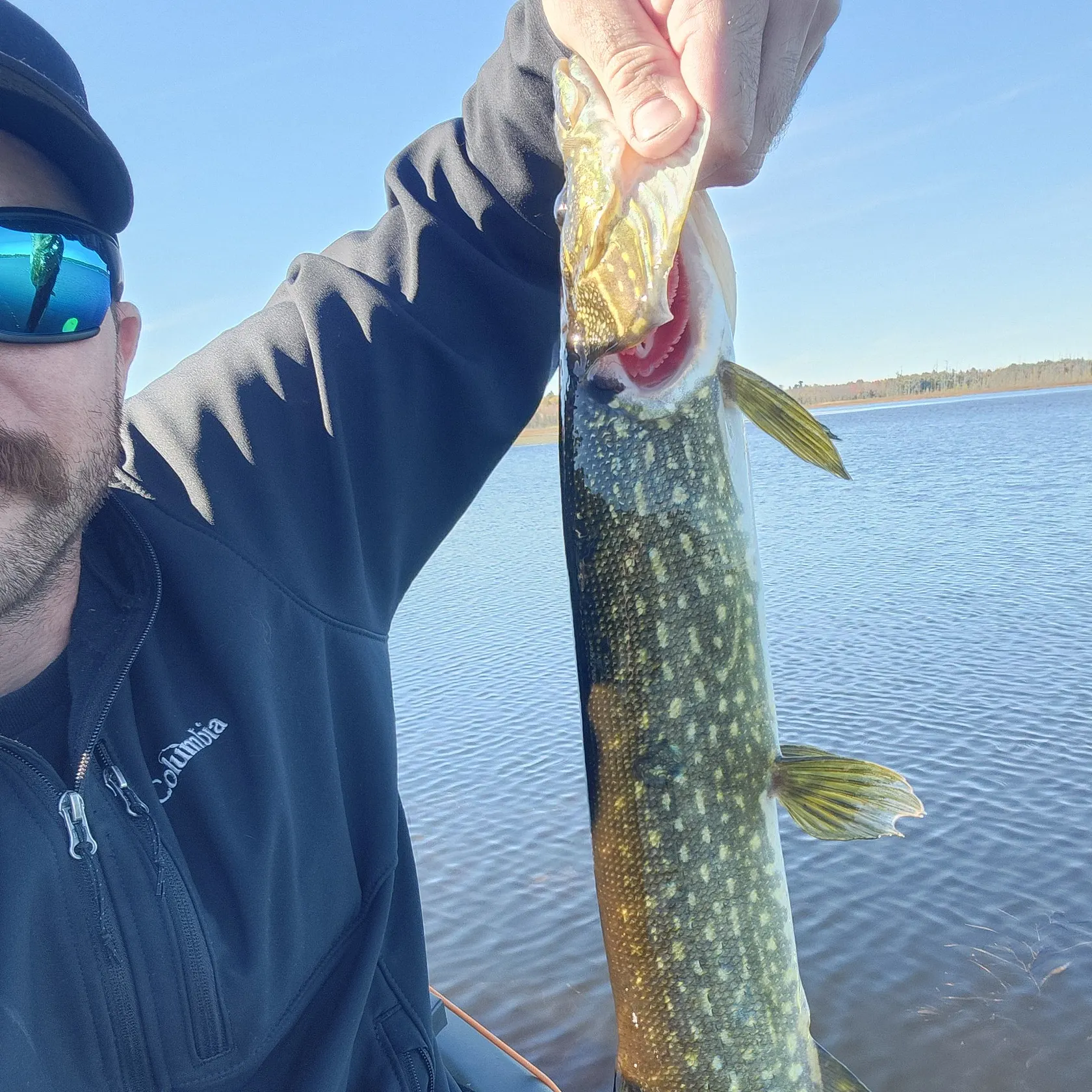 Northern pike caught on Fishbrain