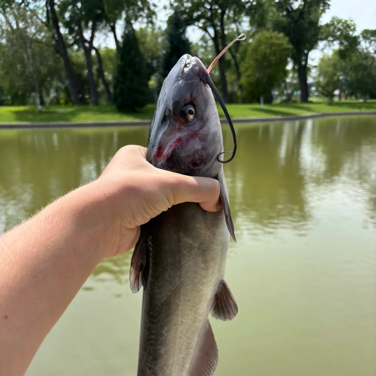 catch