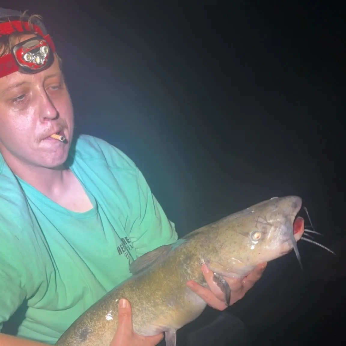 Flathead catfish caught on Fishbrain