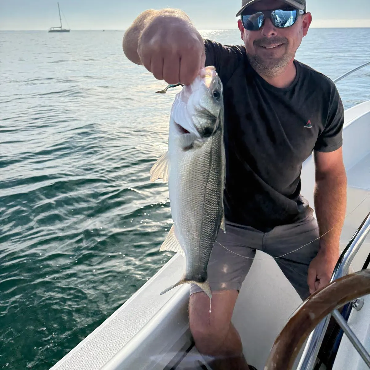 European seabass caught on Fishbrain