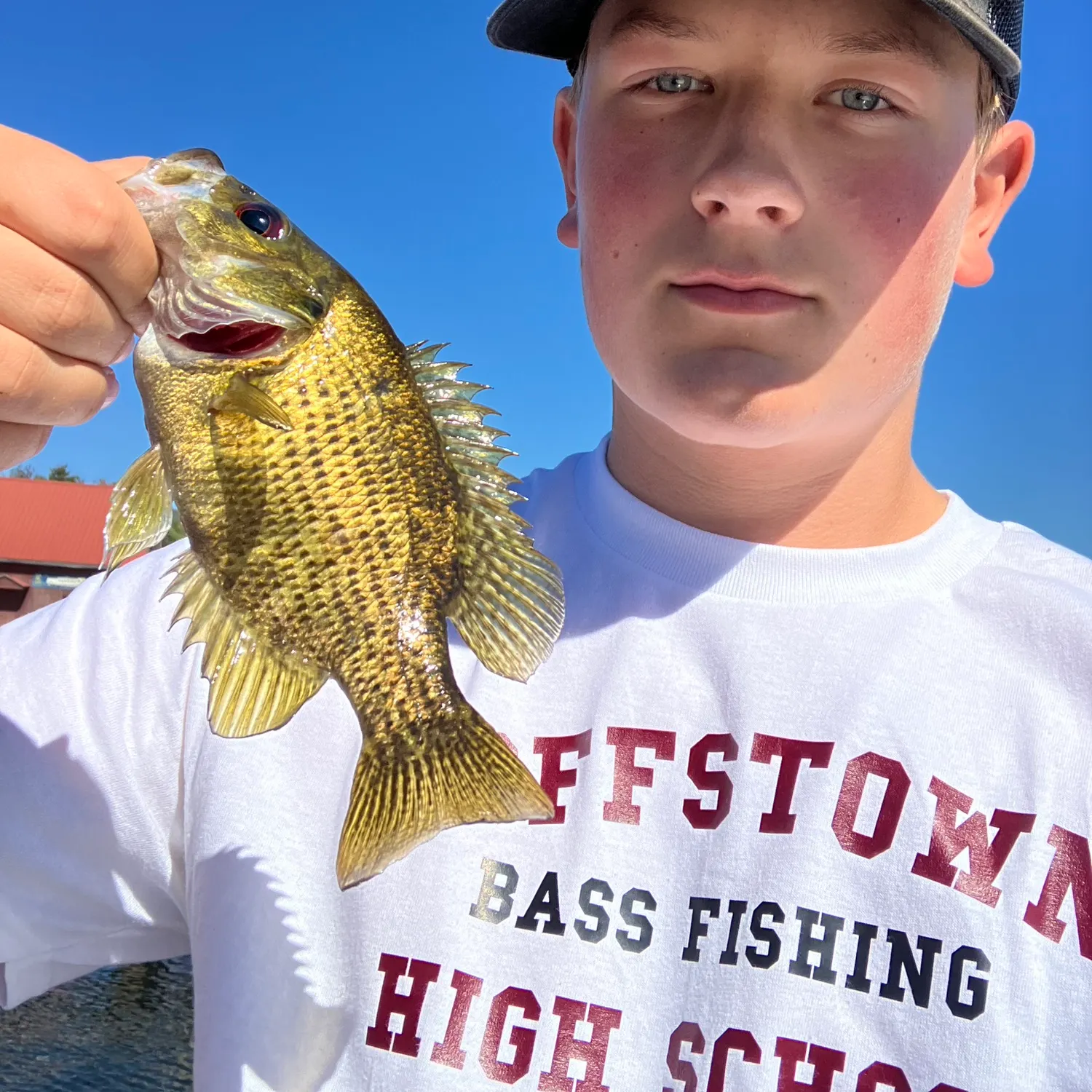 Rock bass caught on Fishbrain