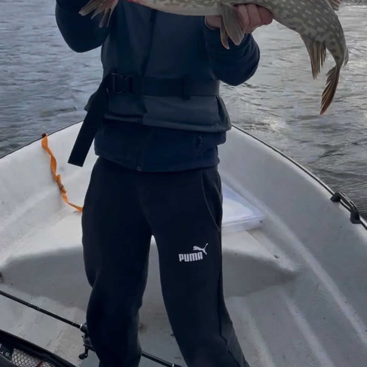 Northern pike caught on Fishbrain