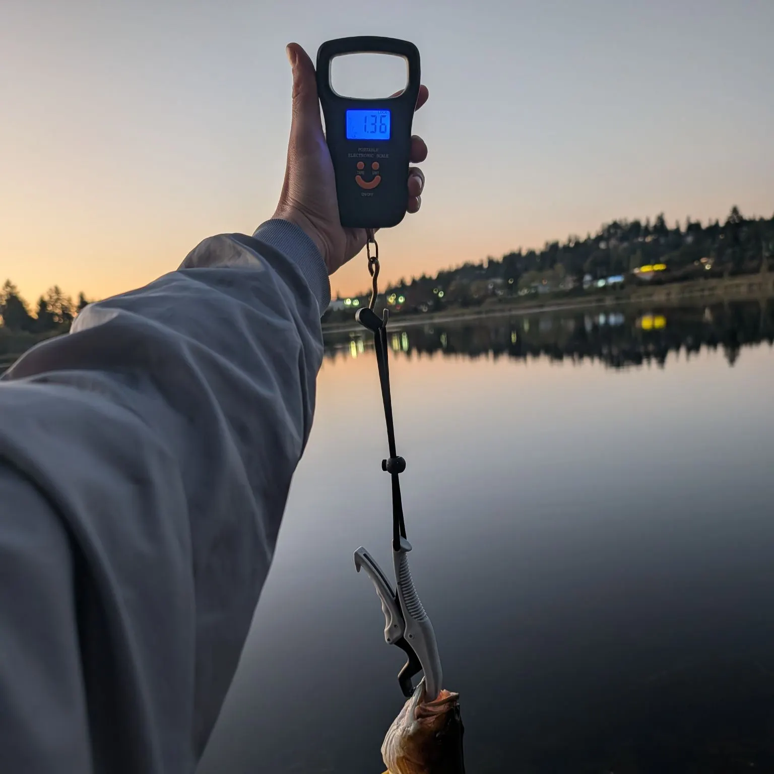 Smallmouth bass caught on Fishbrain