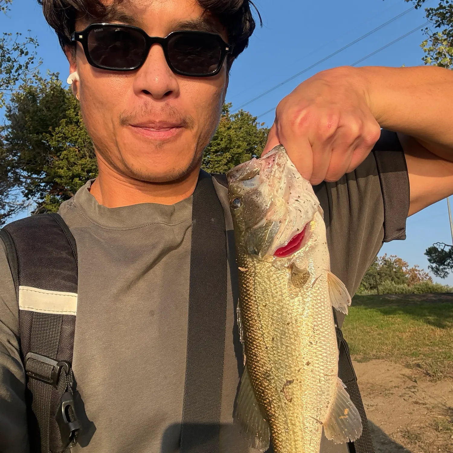 Largemouth bass caught on Fishbrain