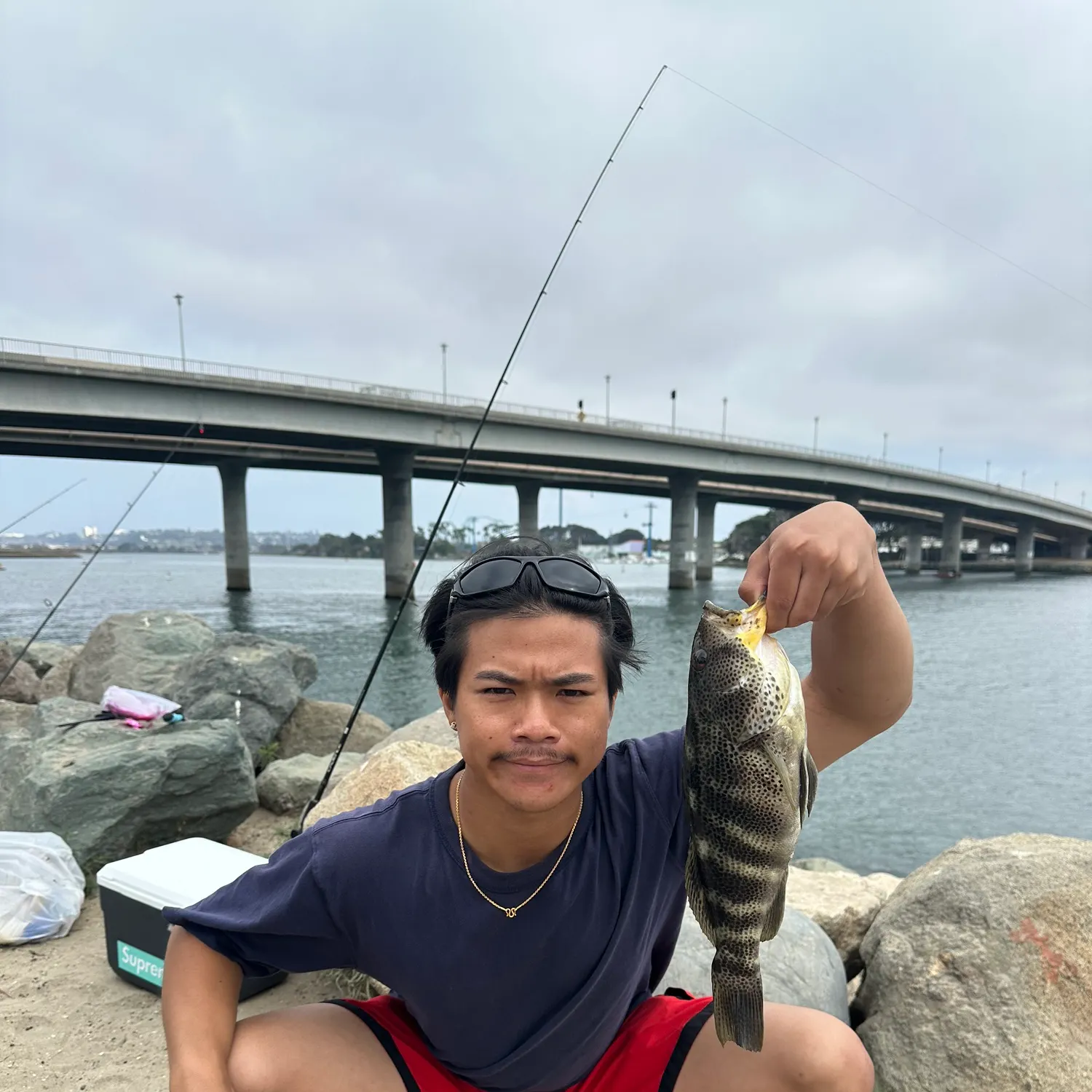 catch