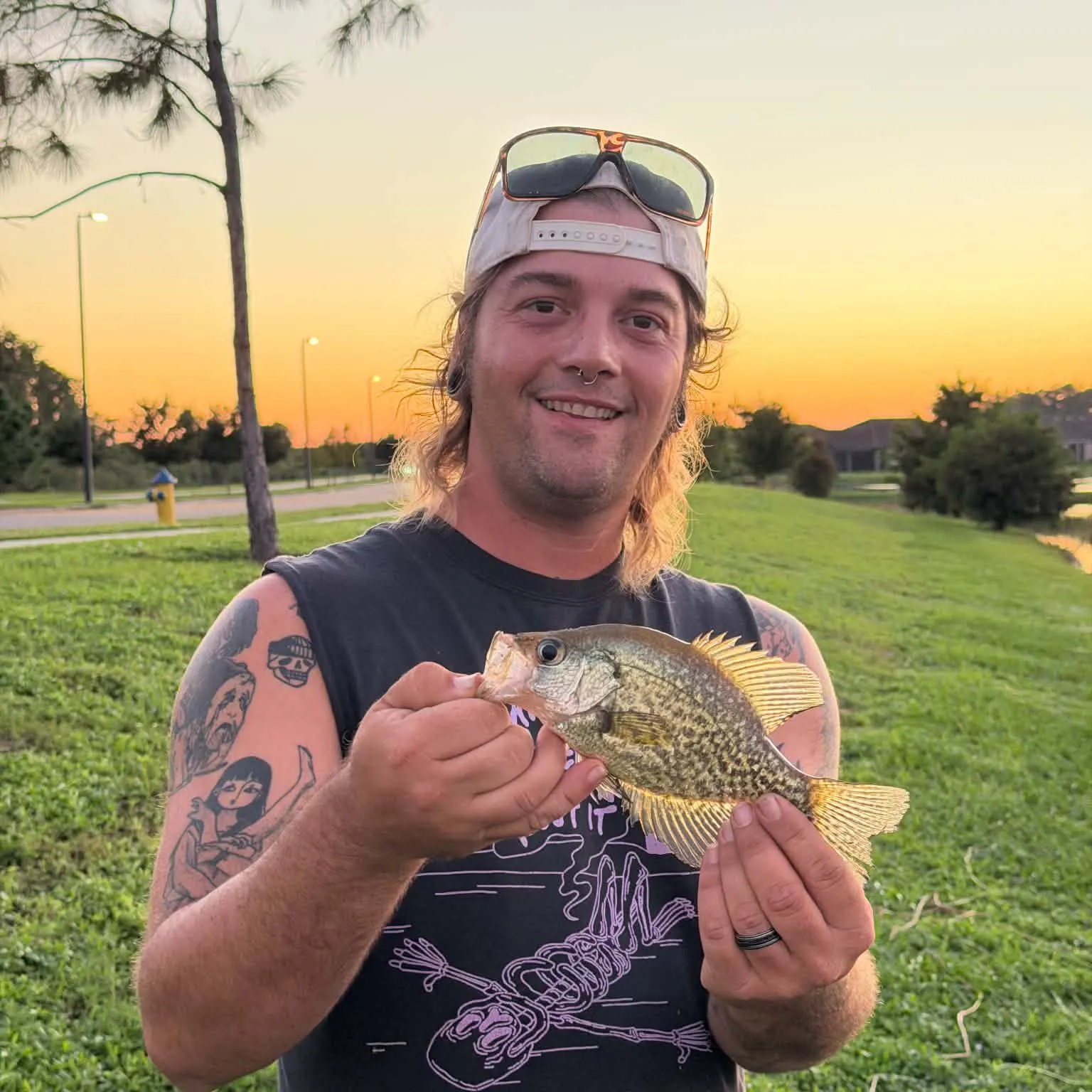 Black crappie caught on Fishbrain