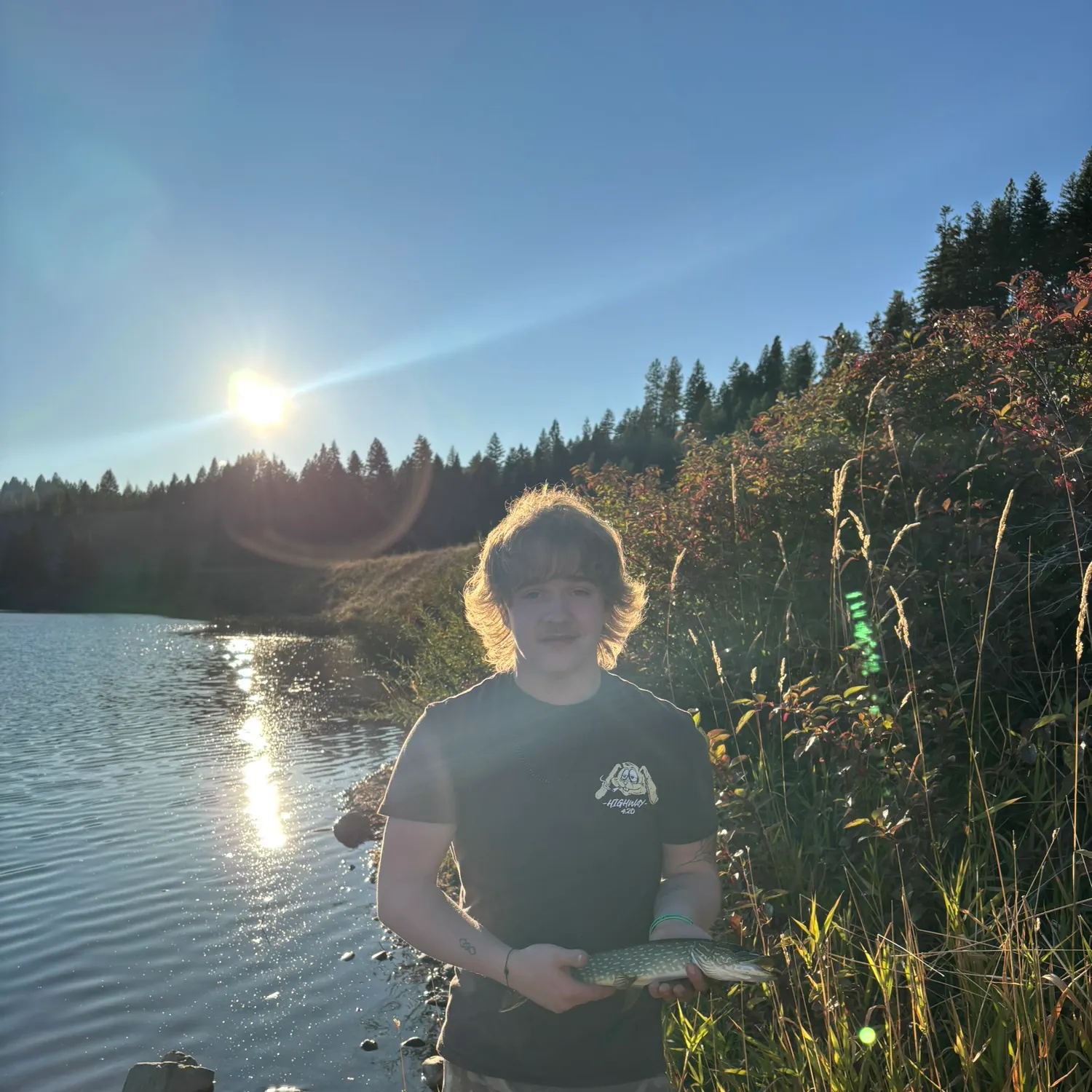 Northern pike caught on Fishbrain