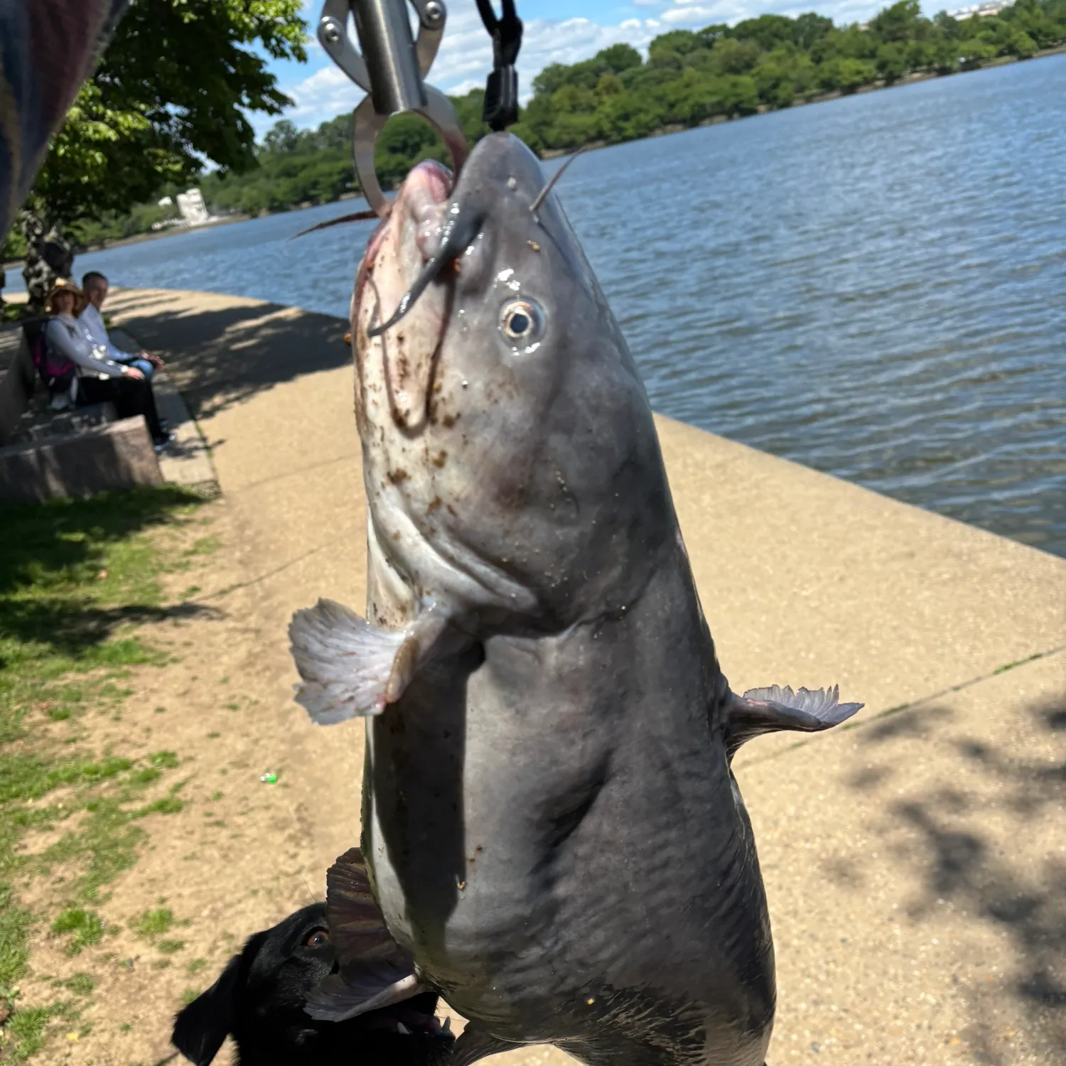 catch