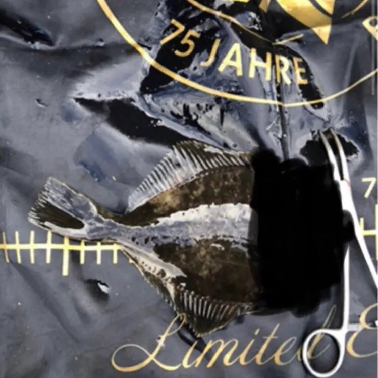 The most recent European flounder catches on Fishbrain