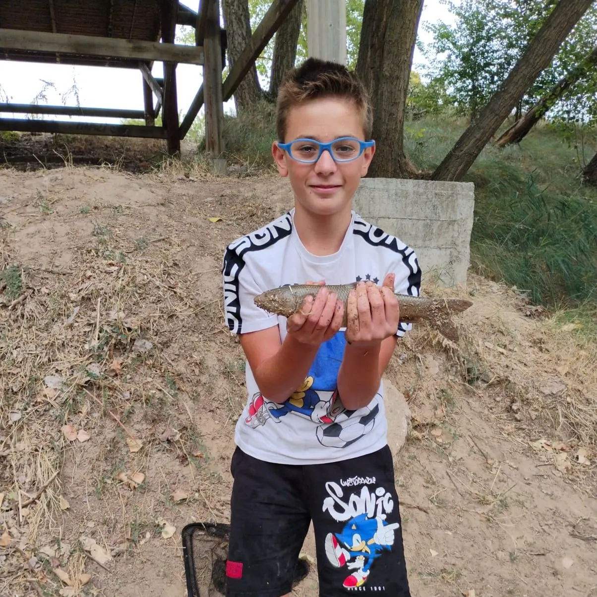 The most recent Northern barbel catches on Fishbrain