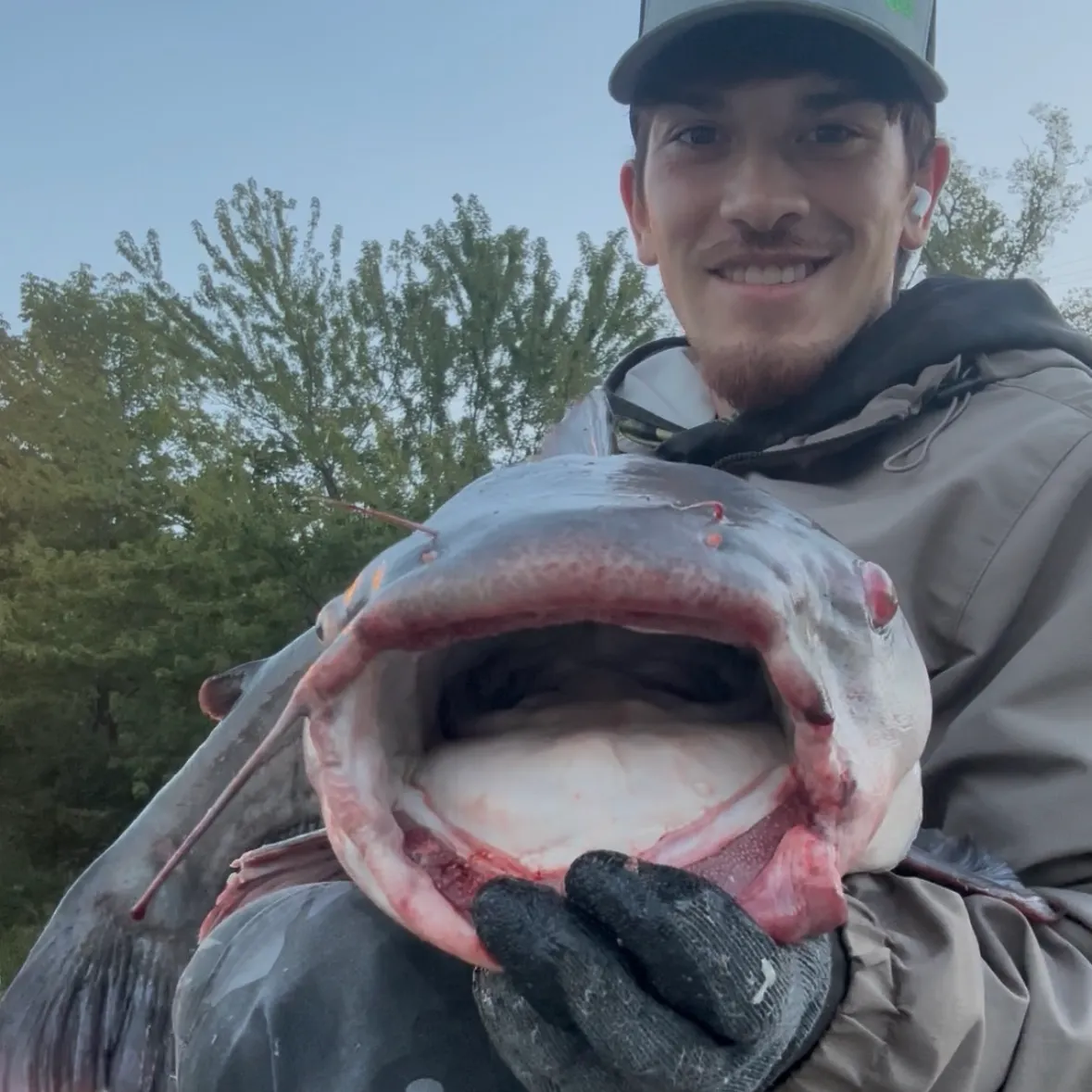 The most recent Blue catfish catches on Fishbrain