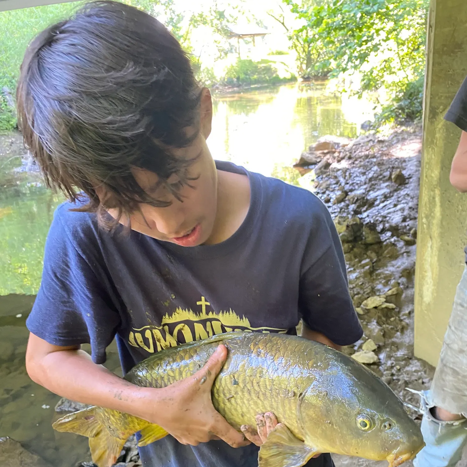 The most recent Common carp catches on Fishbrain