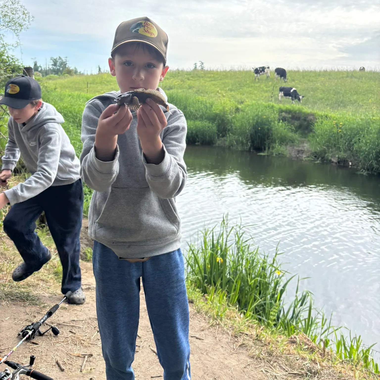 The most recent Great sculpin catches on Fishbrain