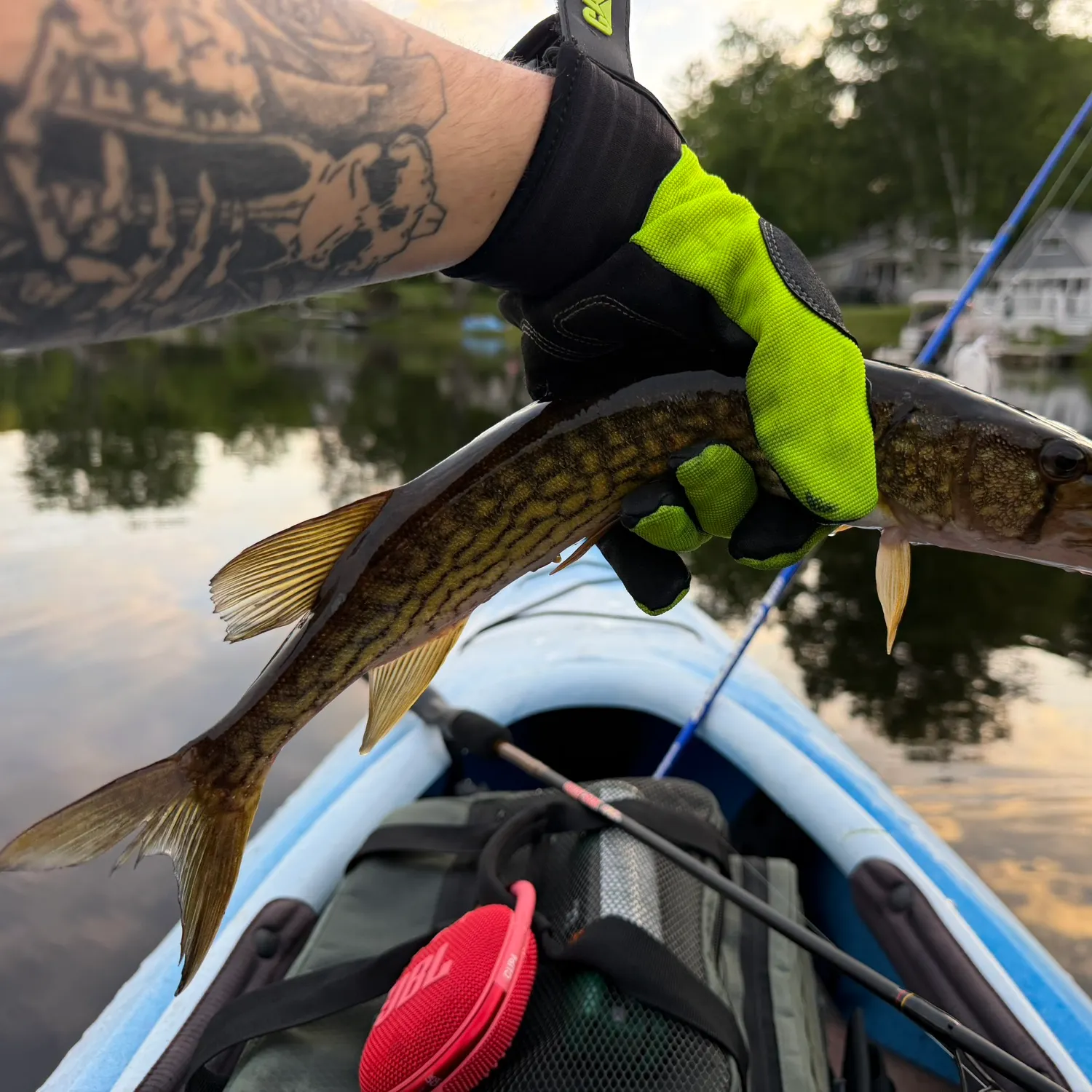 recently logged catches