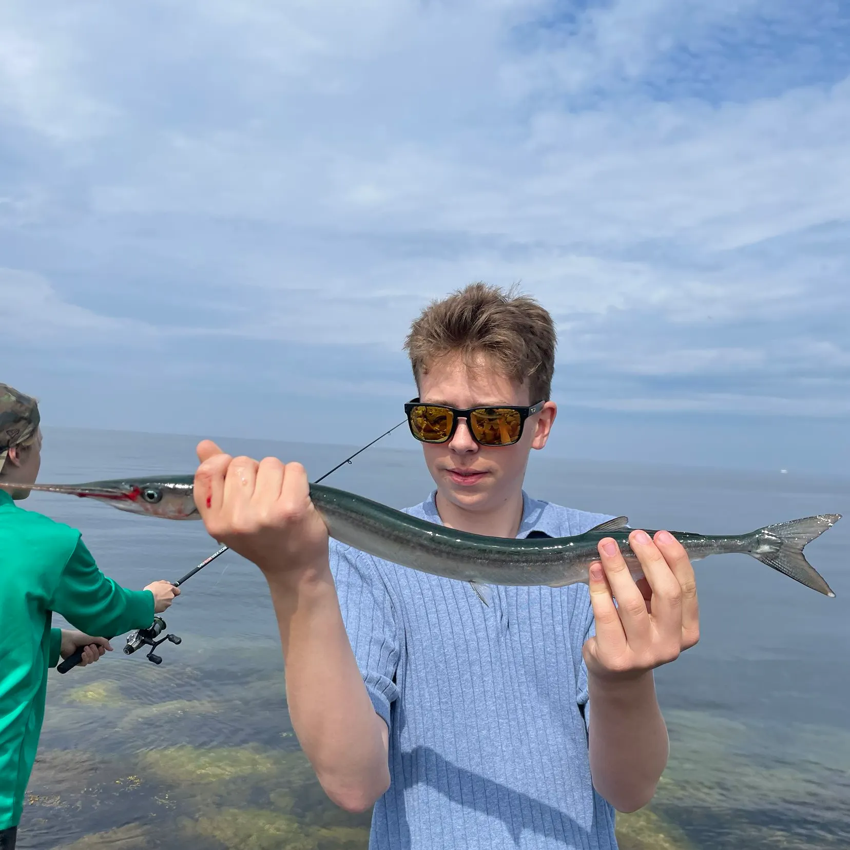 The most recent European garfish catches on Fishbrain