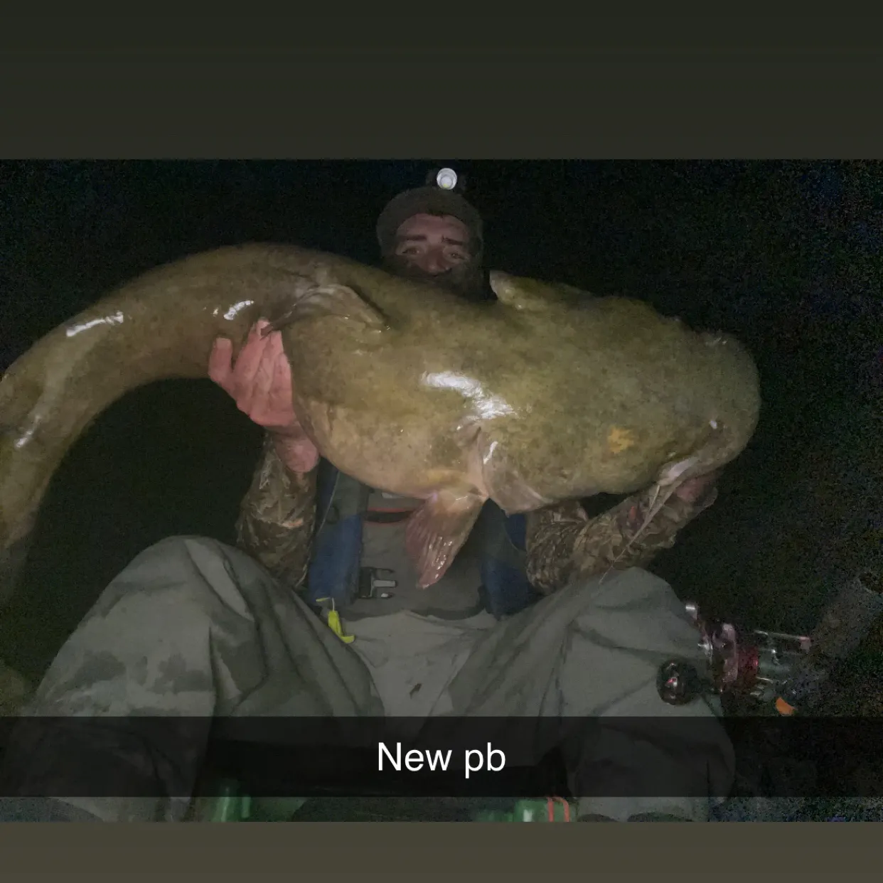 Flathead catfish caught on Fishbrain