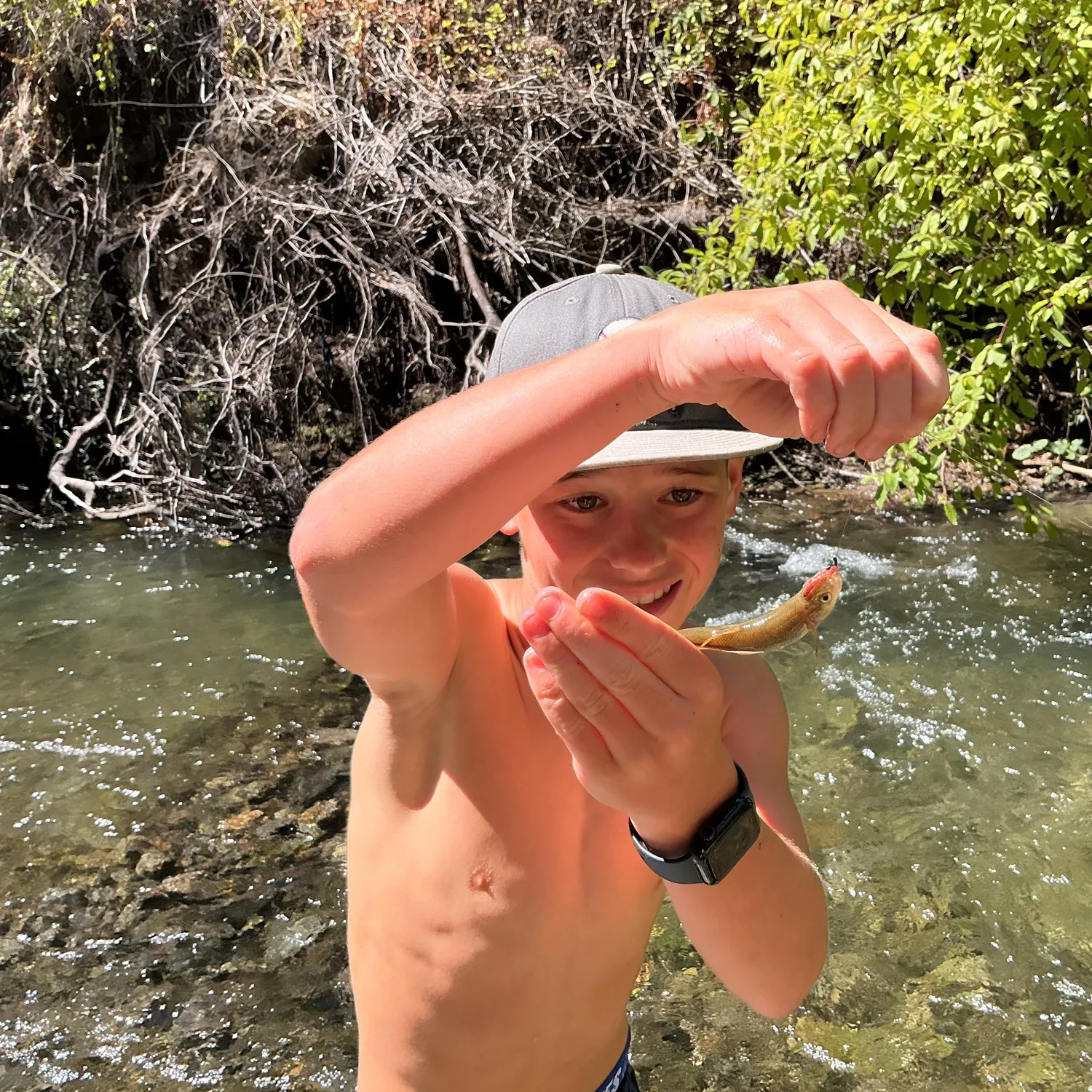 The most recent California roach catches on Fishbrain